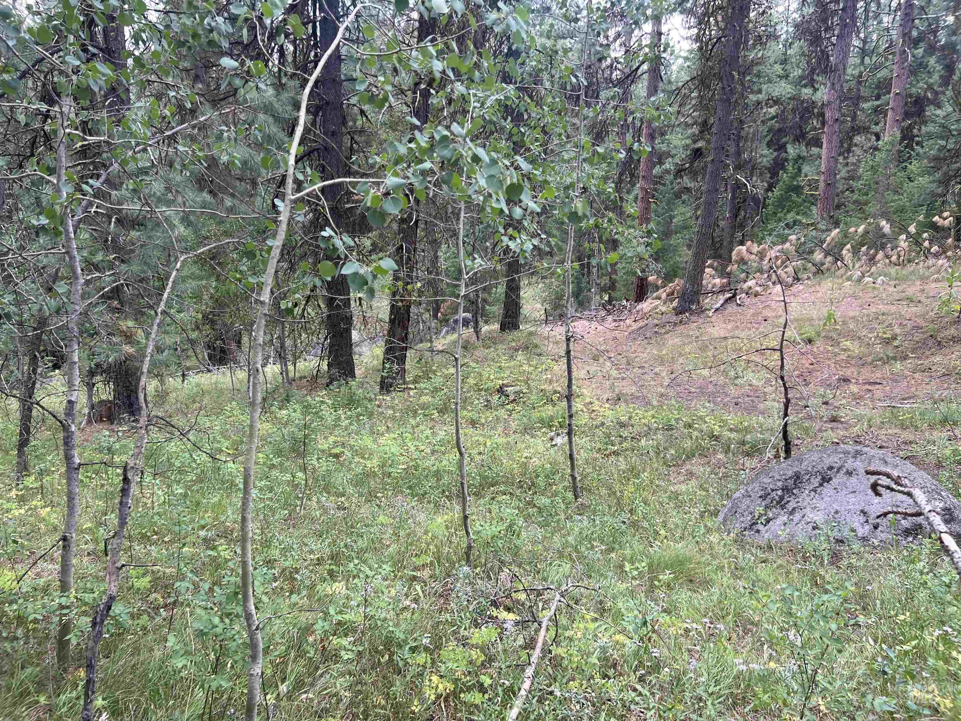 24 Ranch Cir, High Valley, Idaho 83611, Land For Sale, Price $225,000,MLS 98978141