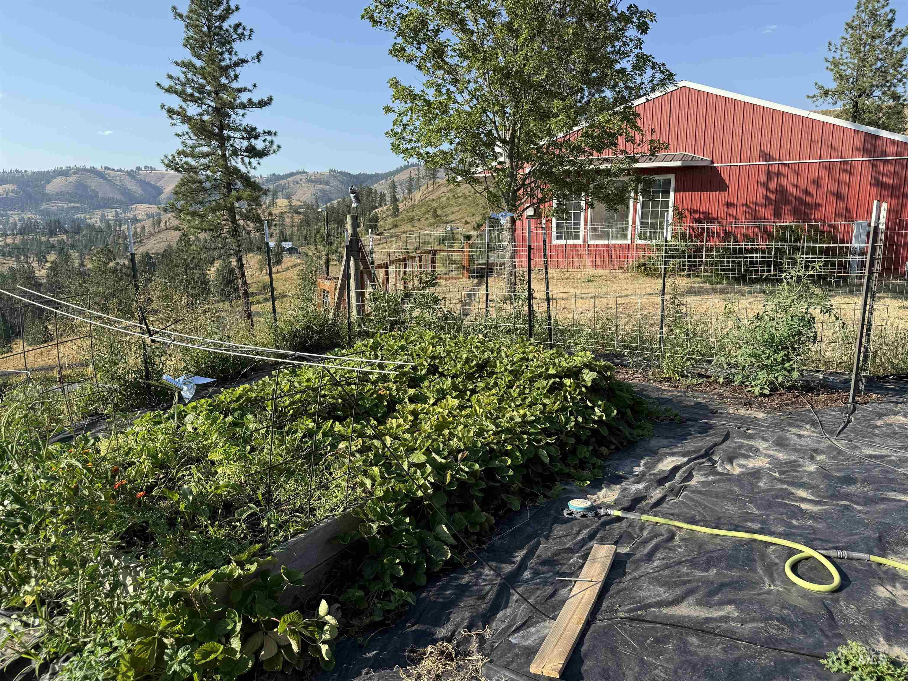 402 Beaver Slide Road, Kamiah, Idaho 83536, 2 Bedrooms, 2 Bathrooms, Residential For Sale, Price $554,000,MLS 98978187