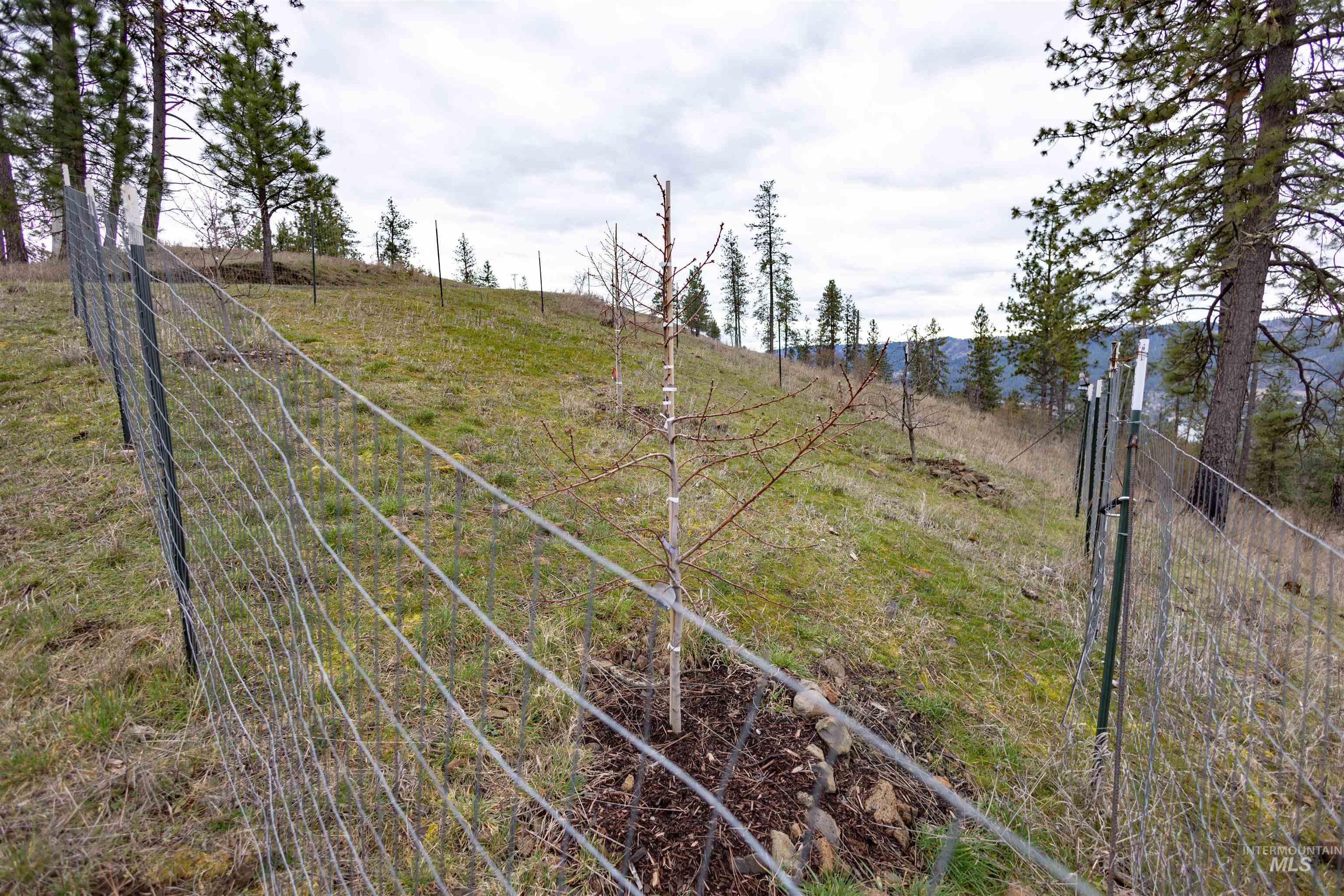 402 Beaver Slide Road, Kamiah, Idaho 83536, 2 Bedrooms, 2 Bathrooms, Residential For Sale, Price $554,000,MLS 98978187