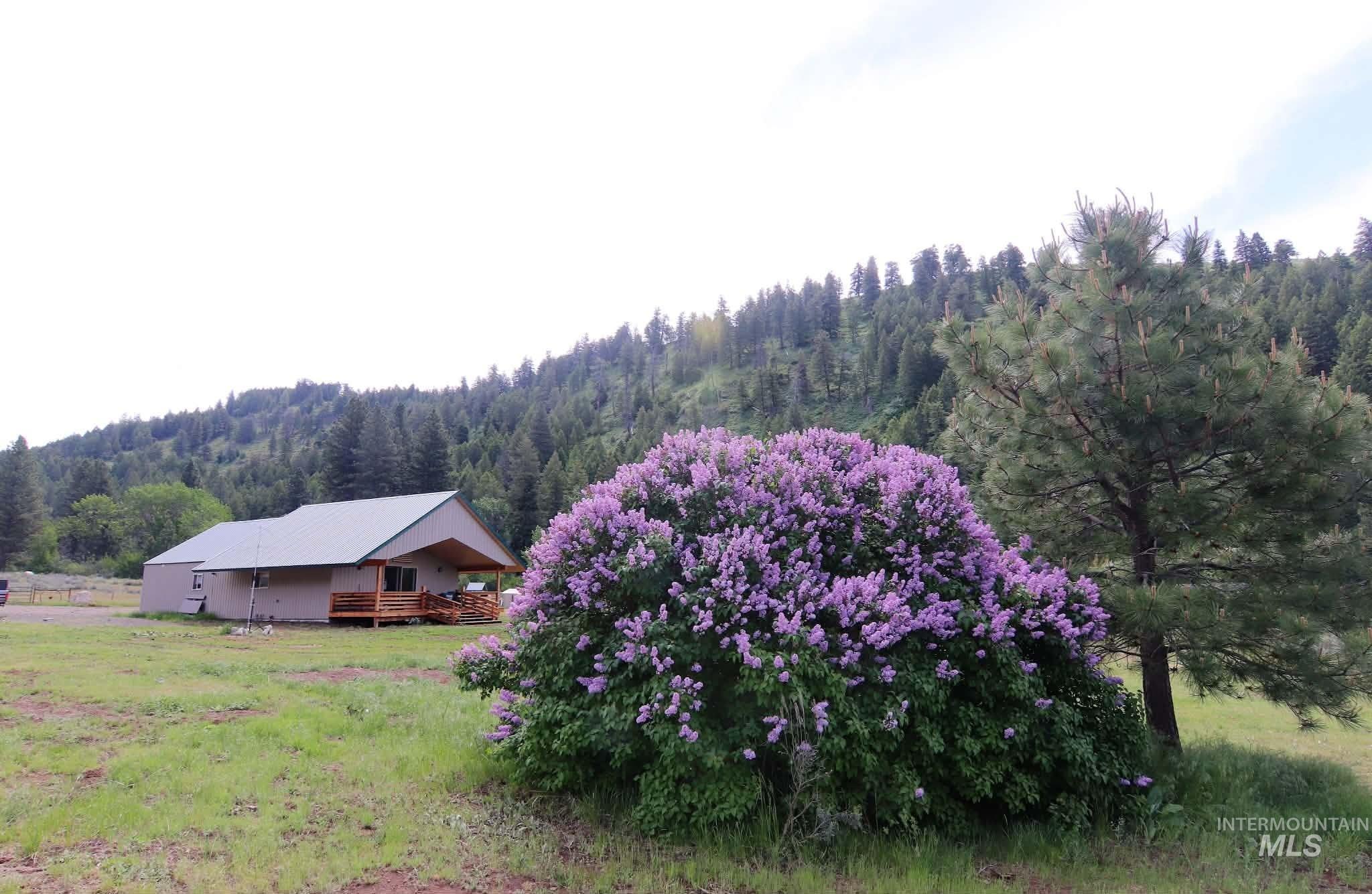 2267 Private Road 1, Cambridge, Idaho 83610, 3 Bedrooms, 1.5 Bathrooms, Residential For Sale, Price $685,000,MLS 98978201