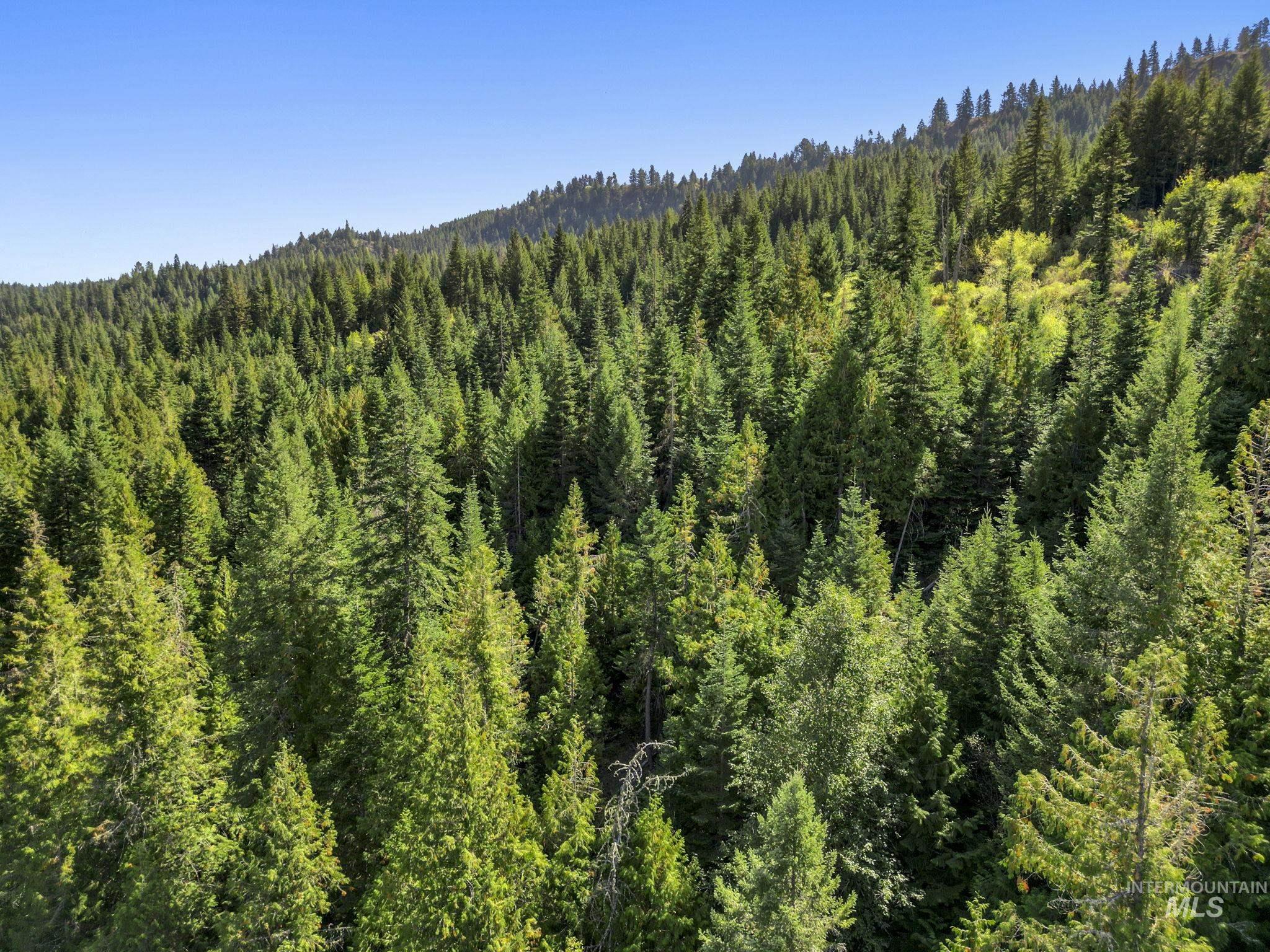 NKA North Road, Kendrick, Idaho 83537, Land For Sale, Price $599,000,MLS 98978205