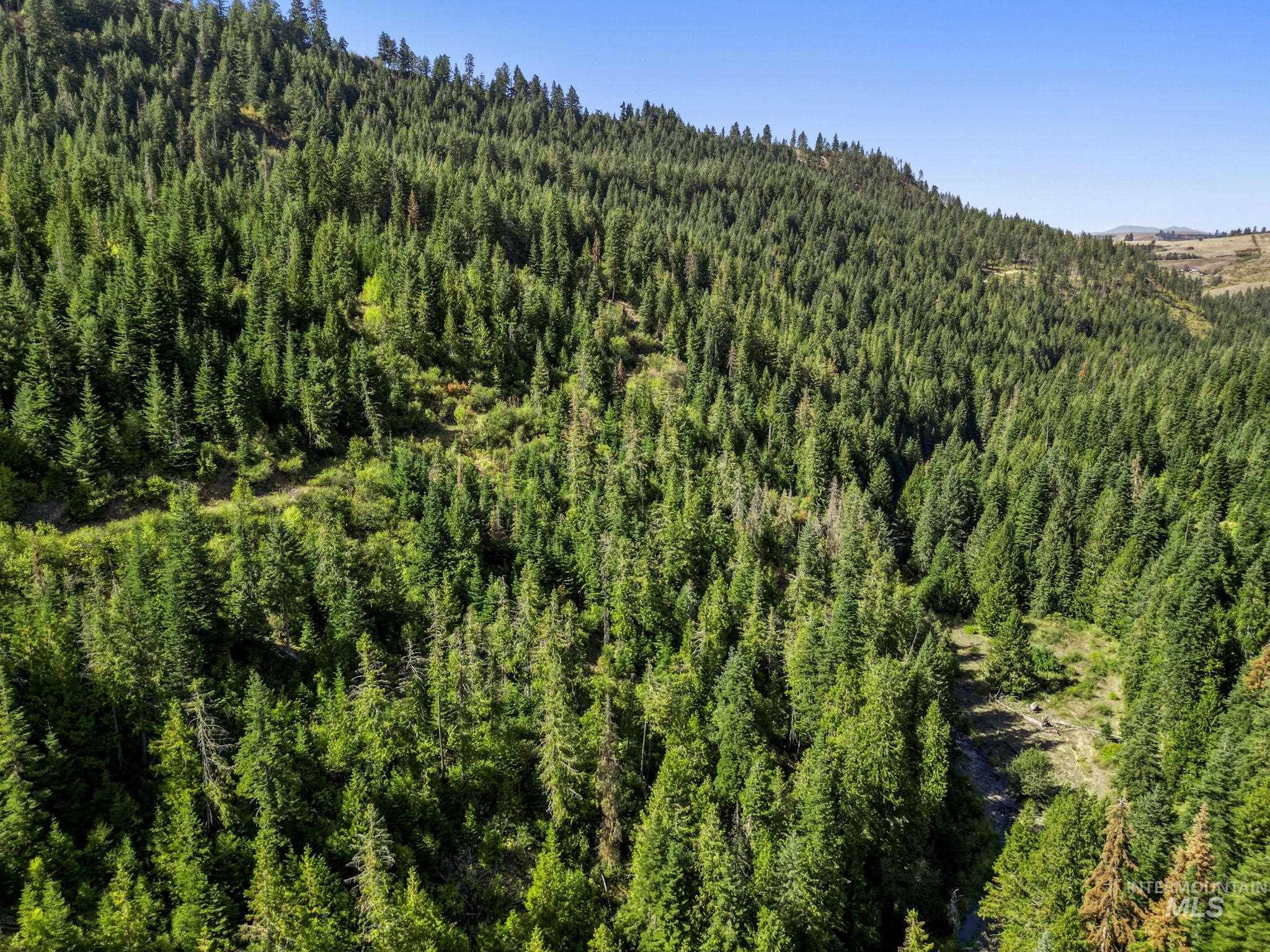 NKA North Road, Kendrick, Idaho 83537, Land For Sale, Price $599,000,MLS 98978205