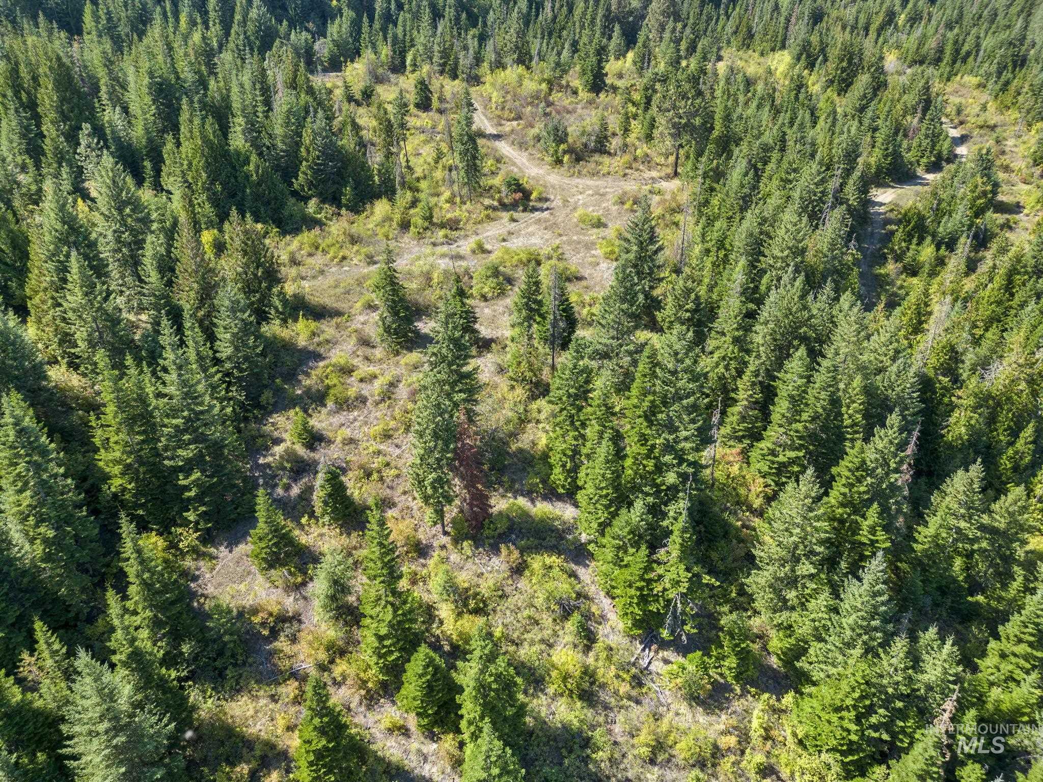 NKA North Road, Kendrick, Idaho 83537, Land For Sale, Price $599,000,MLS 98978205