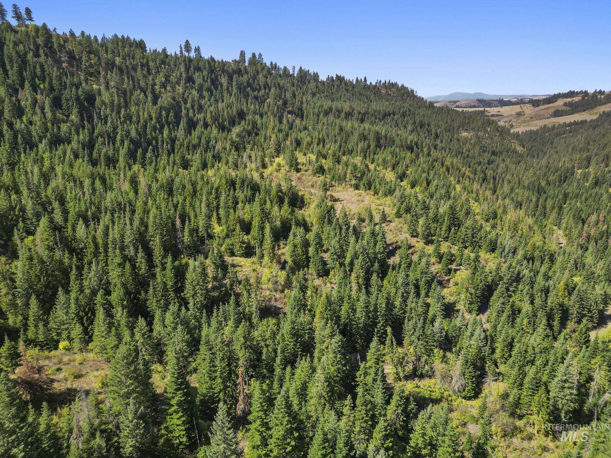 NKA North Road, Kendrick, Idaho 83537, Land For Sale, Price $599,000,MLS 98978205