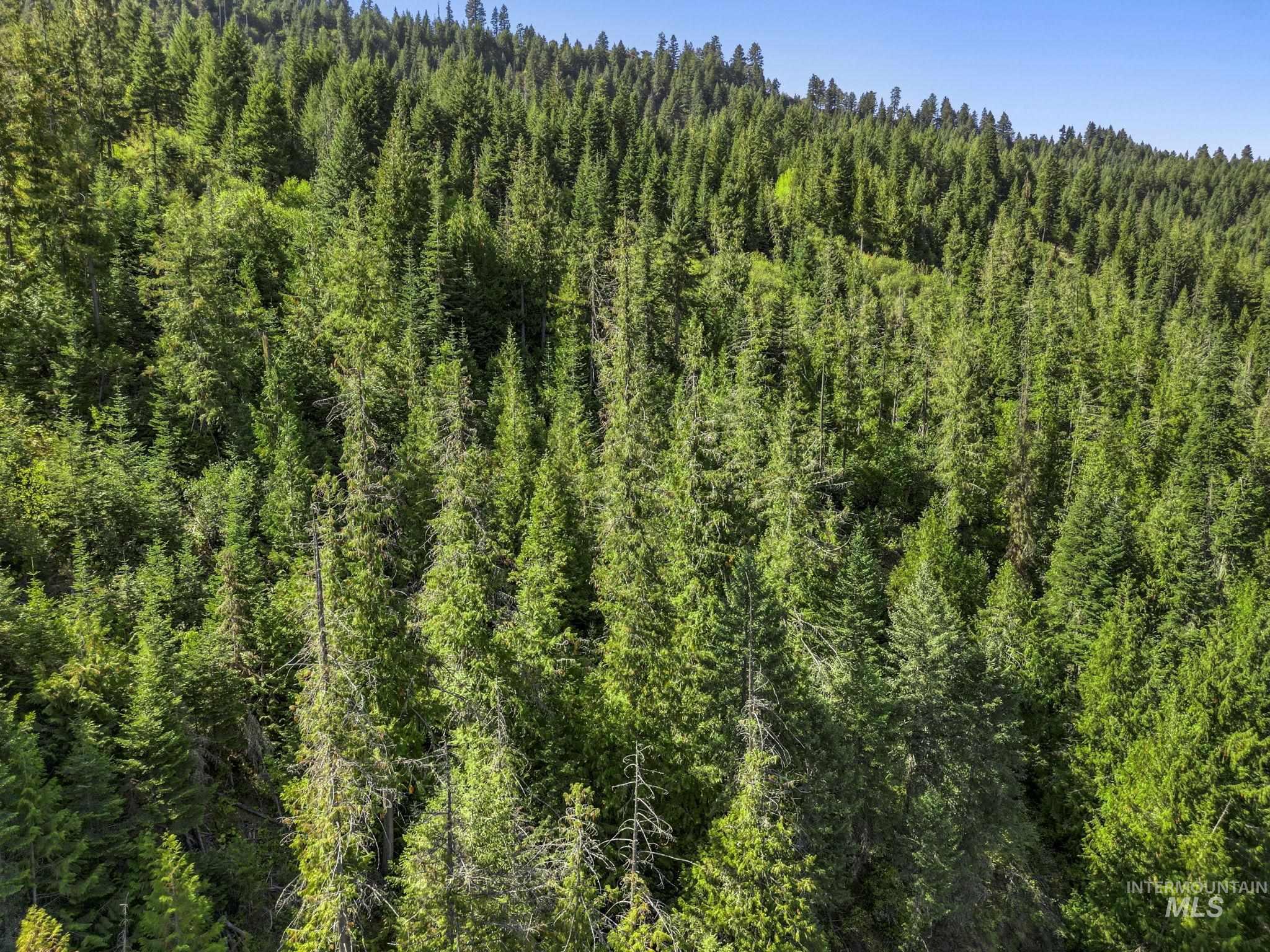 NKA North Road, Kendrick, Idaho 83537, Land For Sale, Price $599,000,MLS 98978205