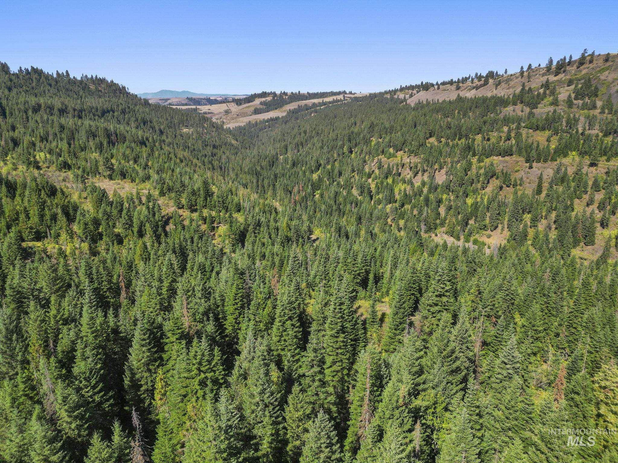 NKA North Road, Kendrick, Idaho 83537, Land For Sale, Price $599,000,MLS 98978205