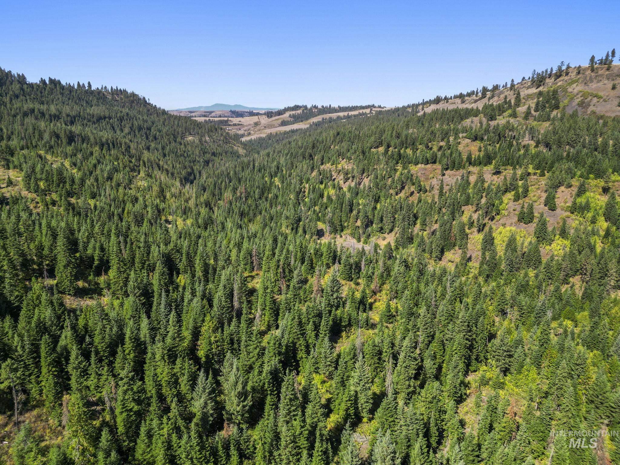 NKA North Road, Kendrick, Idaho 83537, Land For Sale, Price $599,000,MLS 98978205