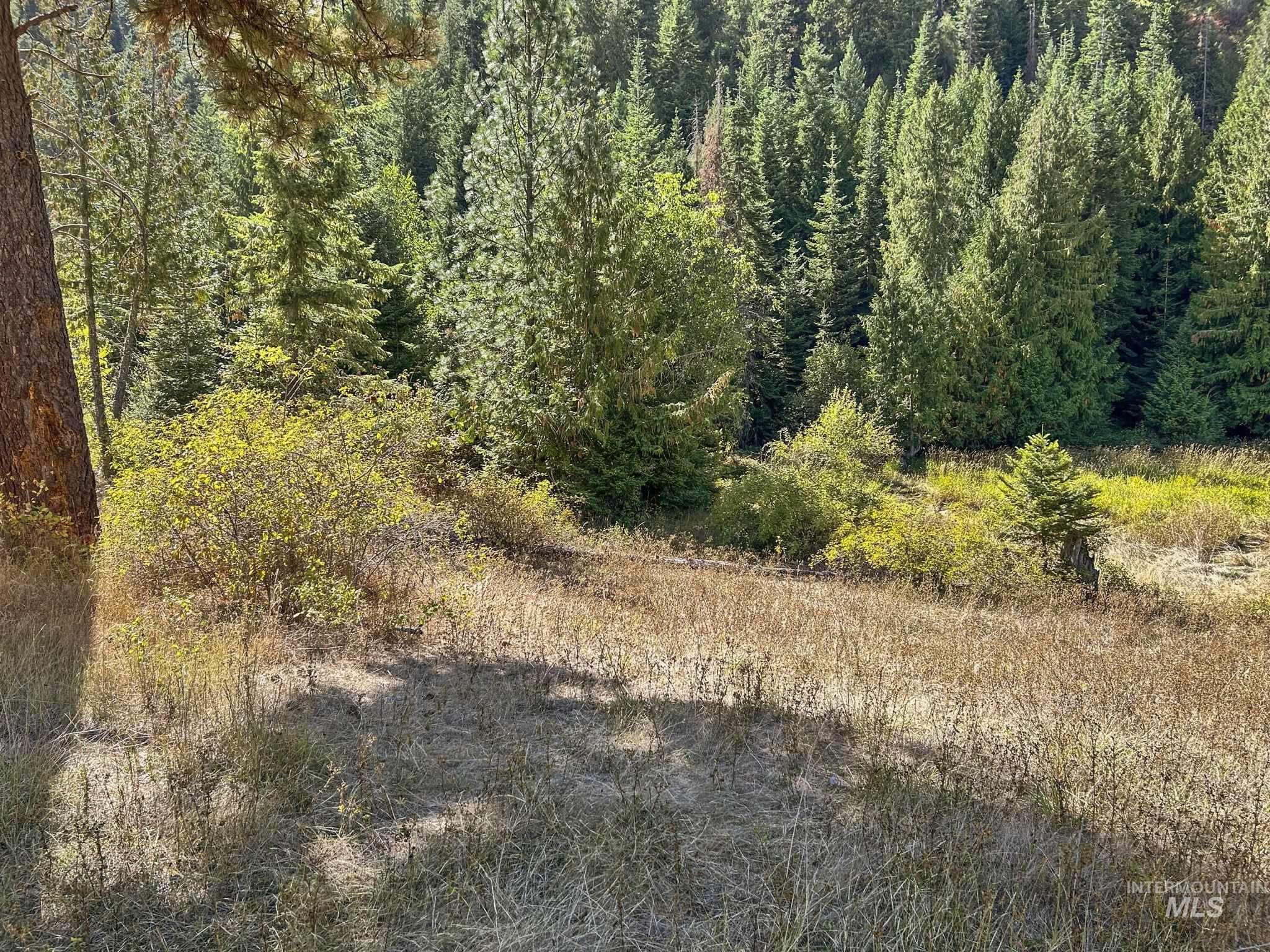 NKA North Road, Kendrick, Idaho 83537, Land For Sale, Price $599,000,MLS 98978205