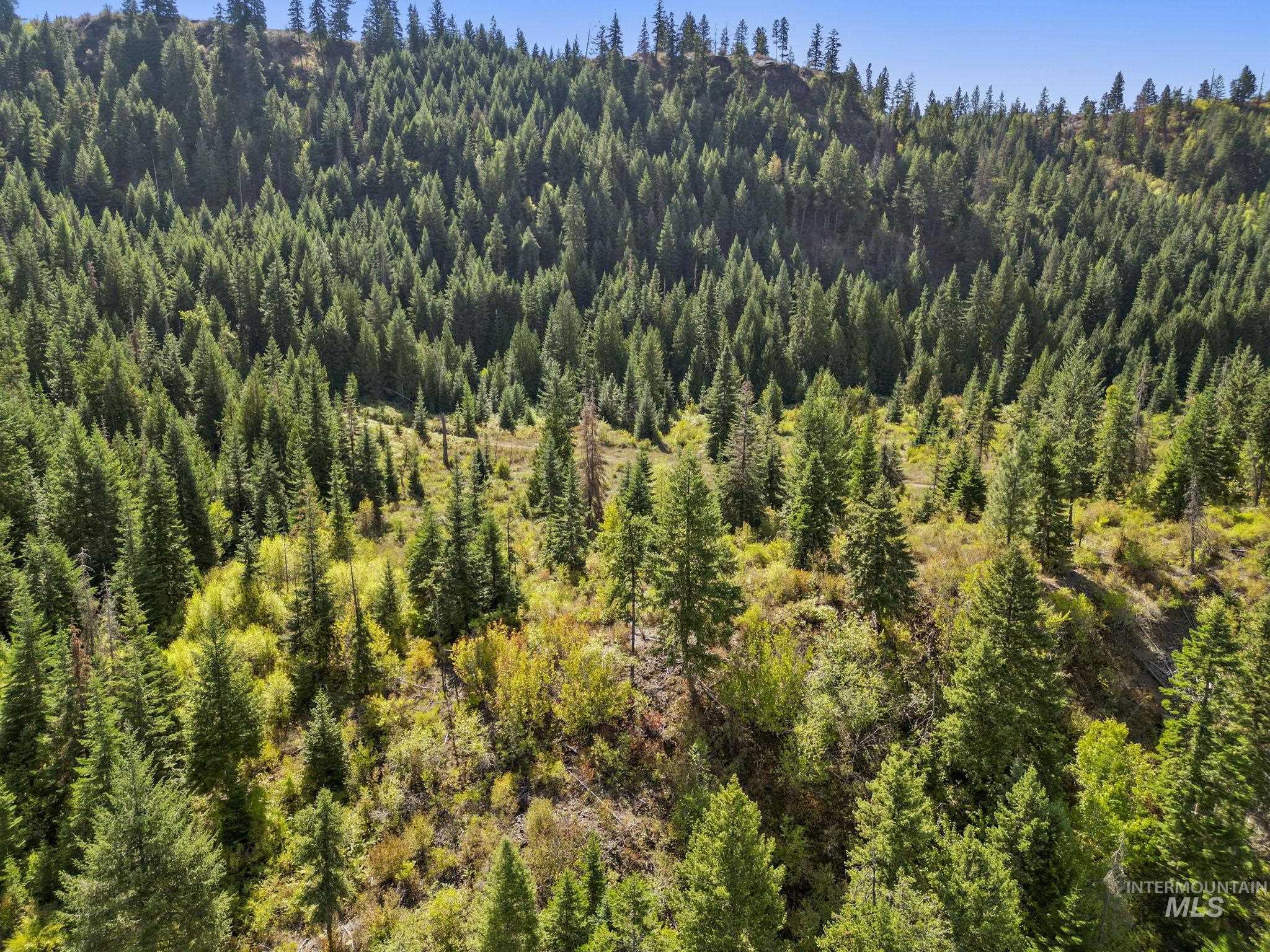 NKA North Road, Kendrick, Idaho 83537, Land For Sale, Price $599,000,MLS 98978205