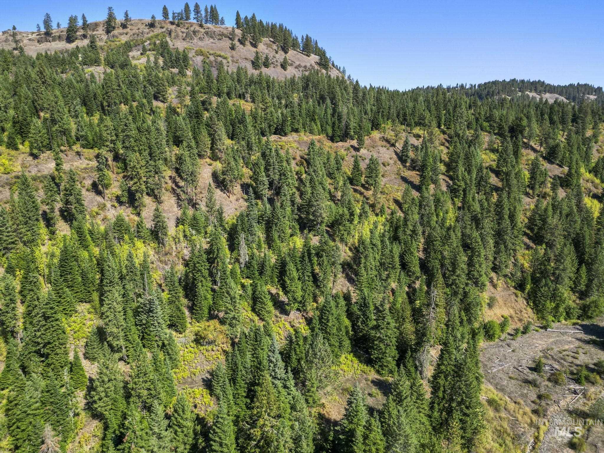 NKA North Road, Kendrick, Idaho 83537, Land For Sale, Price $599,000,MLS 98978205