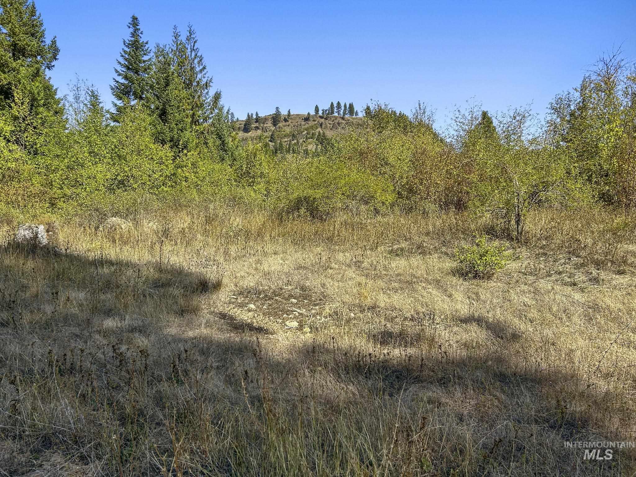 NKA North Road, Kendrick, Idaho 83537, Land For Sale, Price $599,000,MLS 98978205