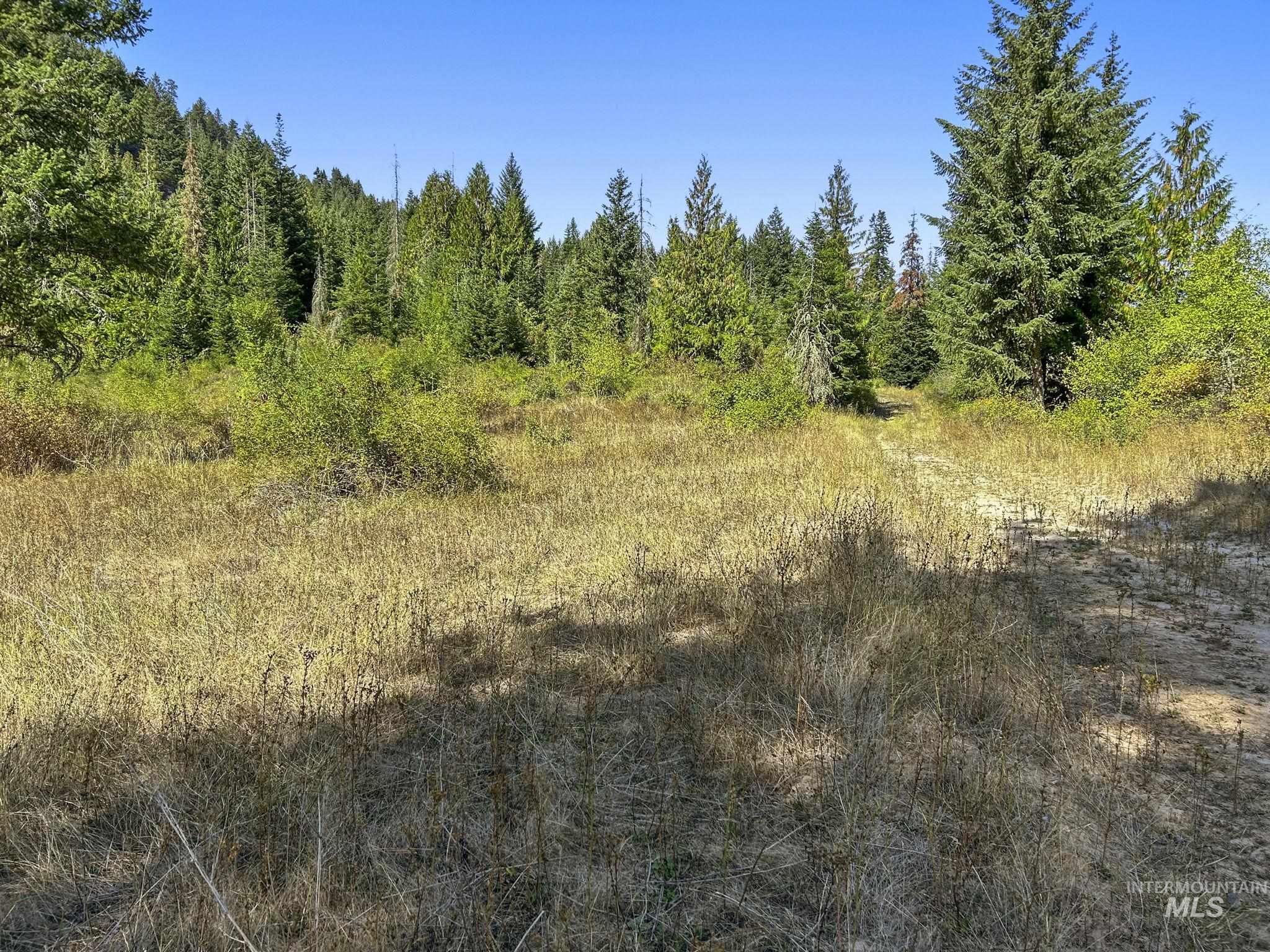 NKA North Road, Kendrick, Idaho 83537, Land For Sale, Price $599,000,MLS 98978205