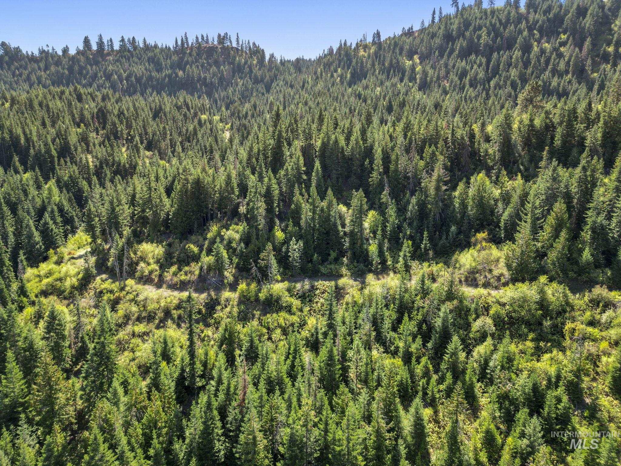 NKA North Road, Kendrick, Idaho 83537, Land For Sale, Price $599,000,MLS 98978205