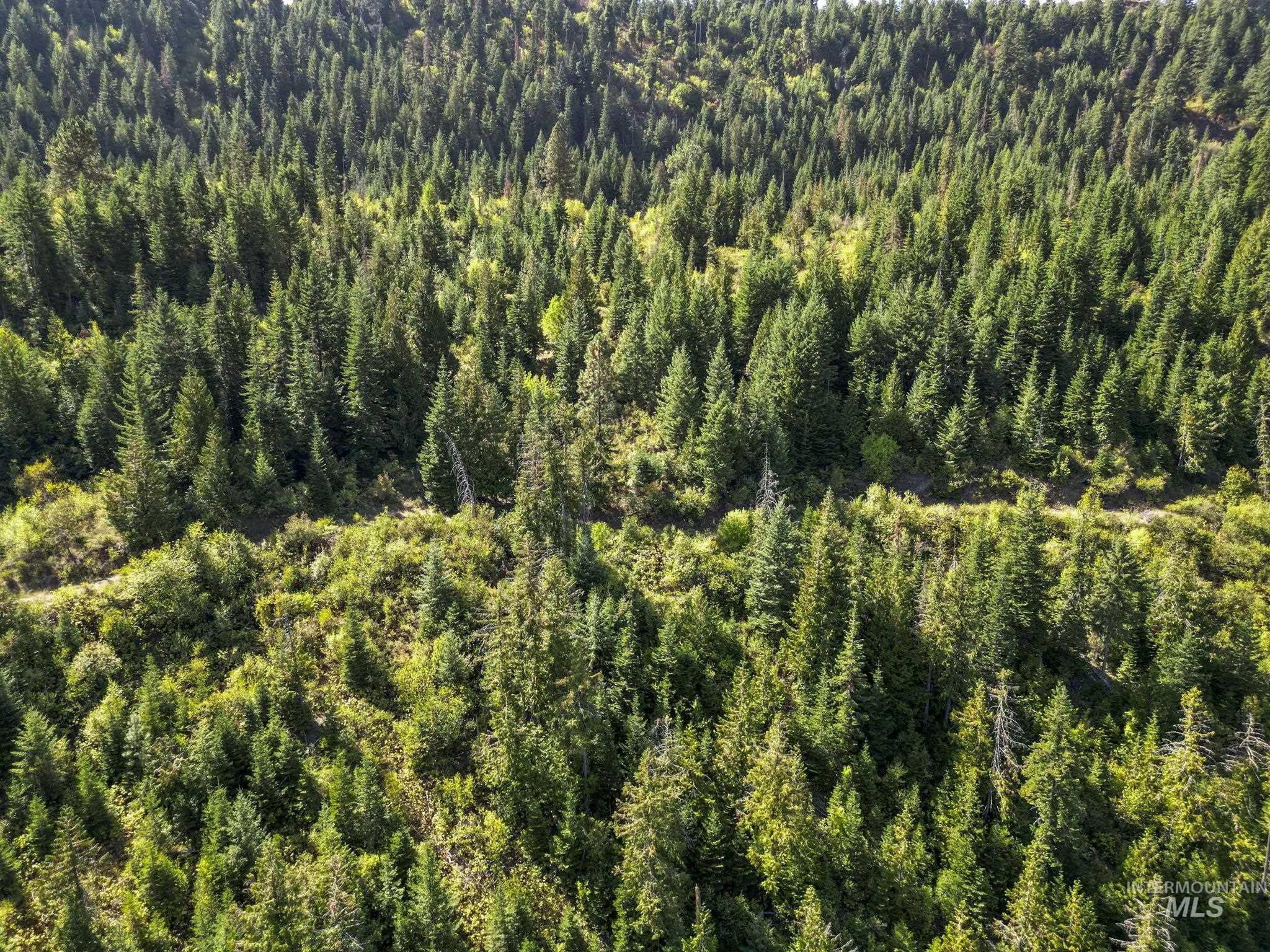 NKA North Road, Kendrick, Idaho 83537, Land For Sale, Price $599,000,MLS 98978205