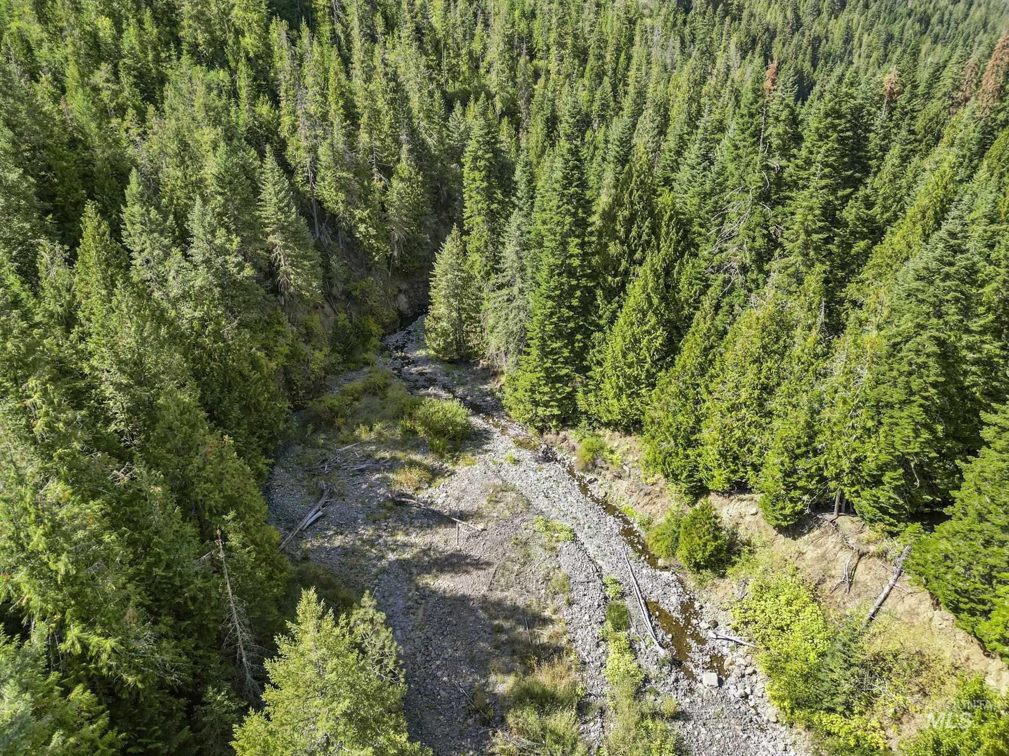 NKA North Road, Kendrick, Idaho 83537, Land For Sale, Price $599,000,MLS 98978205