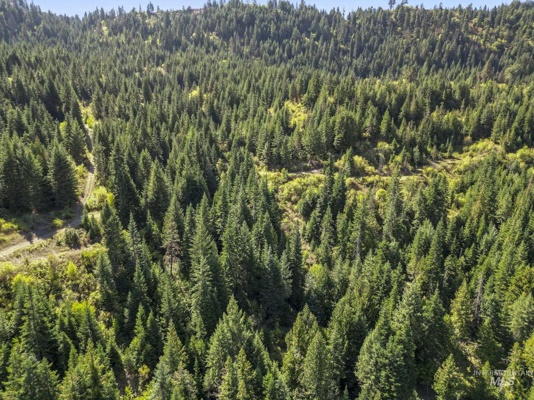 NKA North Road, Kendrick, Idaho 83537, Land For Sale, Price $599,000,MLS 98978205