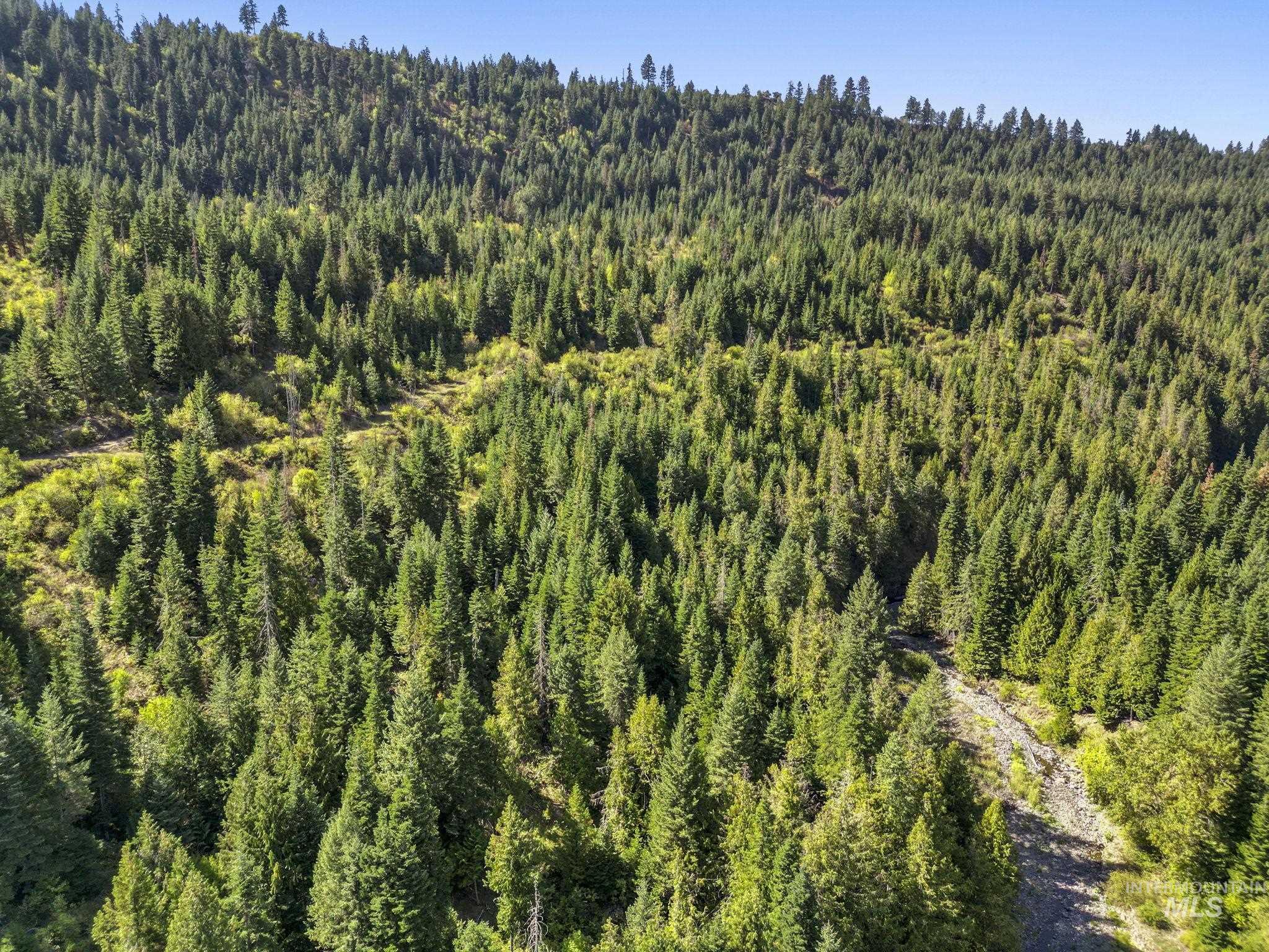 NKA North Road, Kendrick, Idaho 83537, Land For Sale, Price $599,000,MLS 98978205