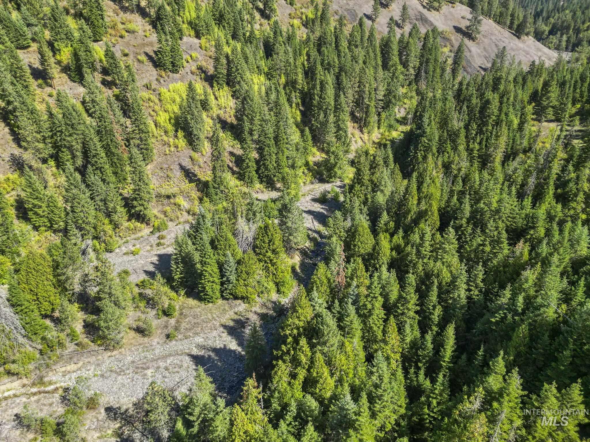 NKA North Road, Kendrick, Idaho 83537, Land For Sale, Price $599,000,MLS 98978205