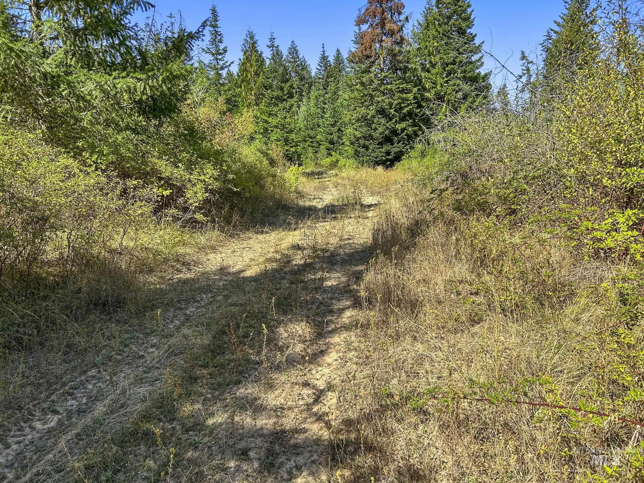 NKA North Road, Kendrick, Idaho 83537, Land For Sale, Price $599,000,MLS 98978205