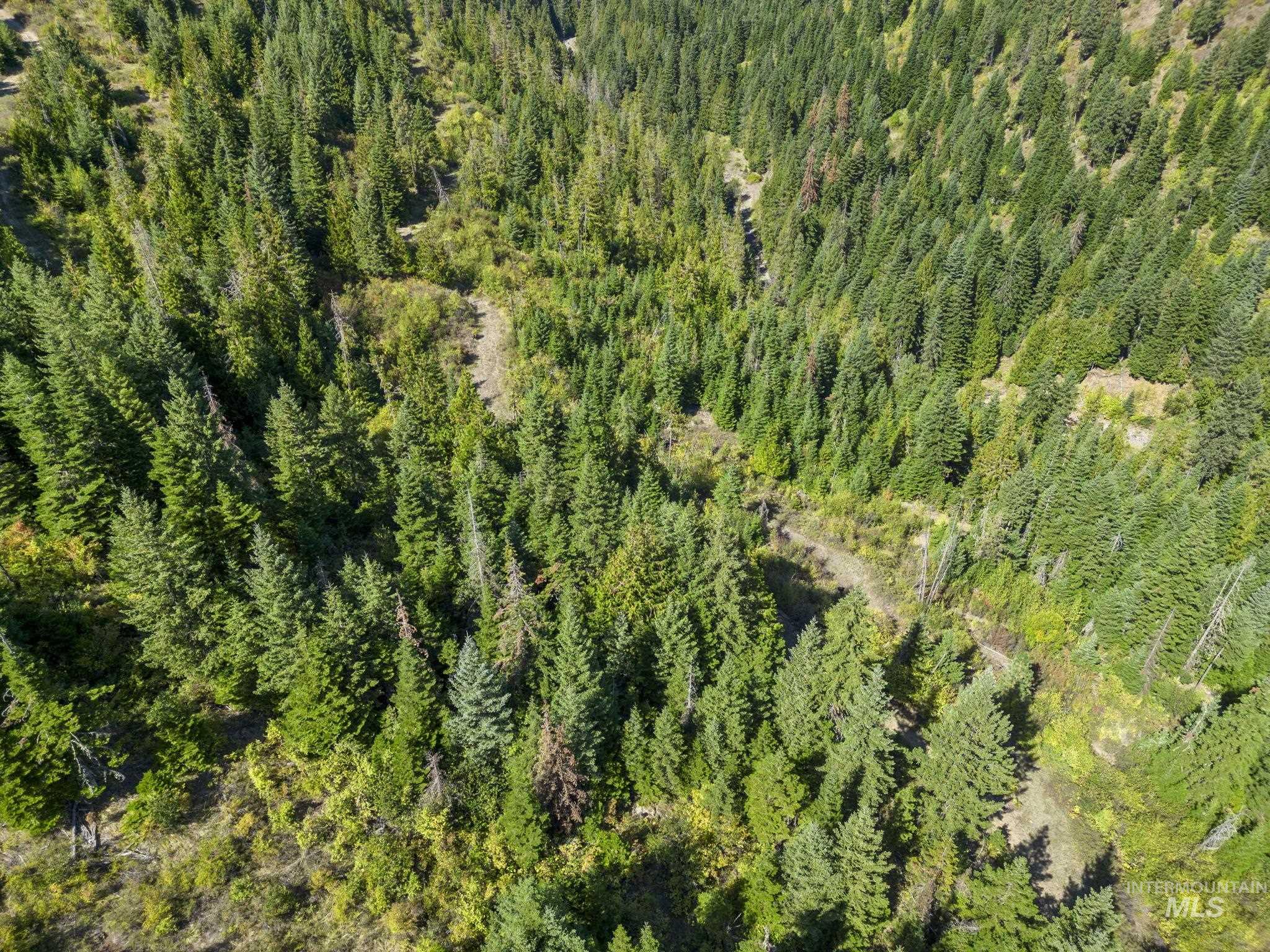 NKA North Road, Kendrick, Idaho 83537, Land For Sale, Price $599,000,MLS 98978205