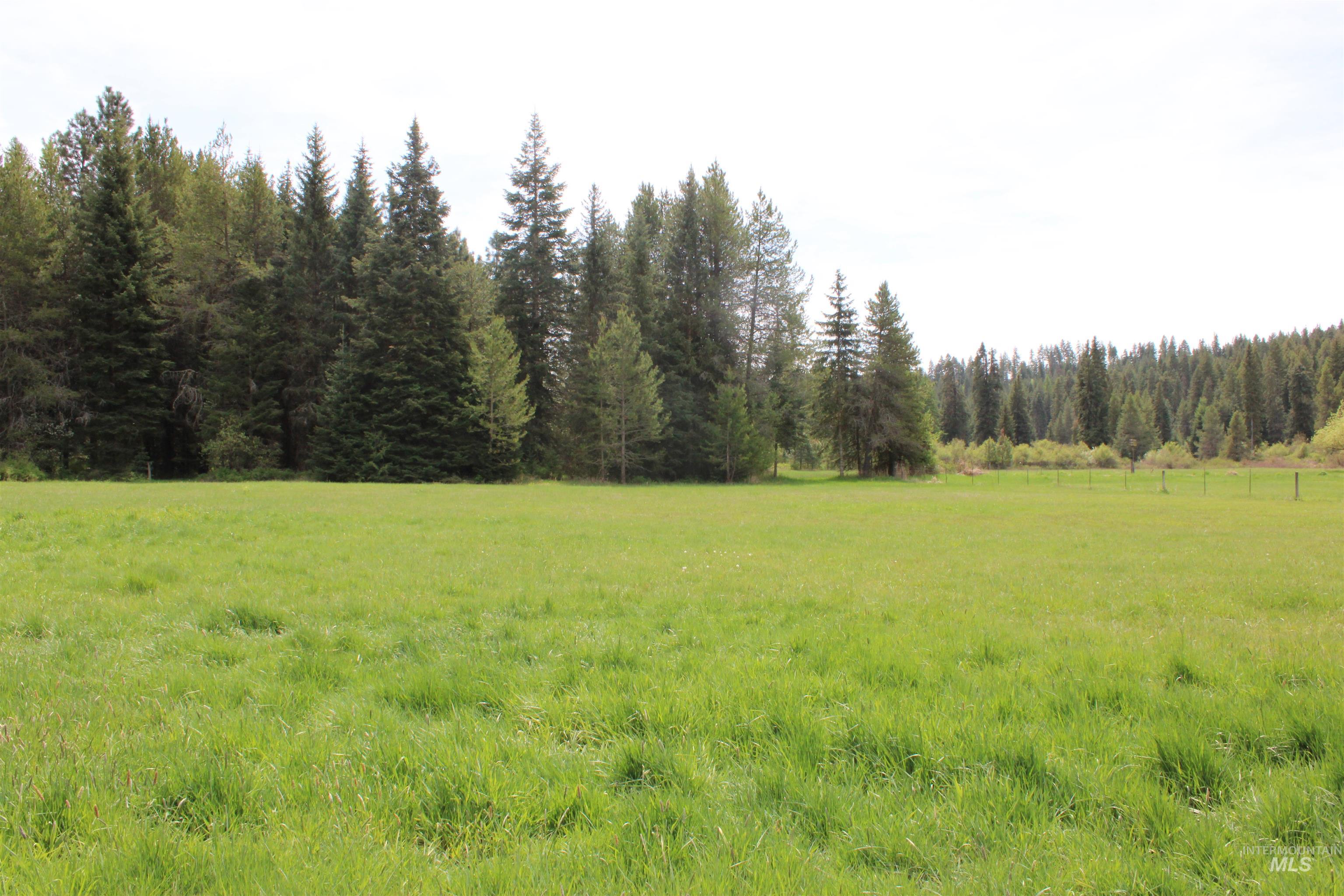 1021 Claypit Rd, Troy, Idaho 83871, 3 Bedrooms, 2 Bathrooms, Residential For Sale, Price $875,000,MLS 98978219