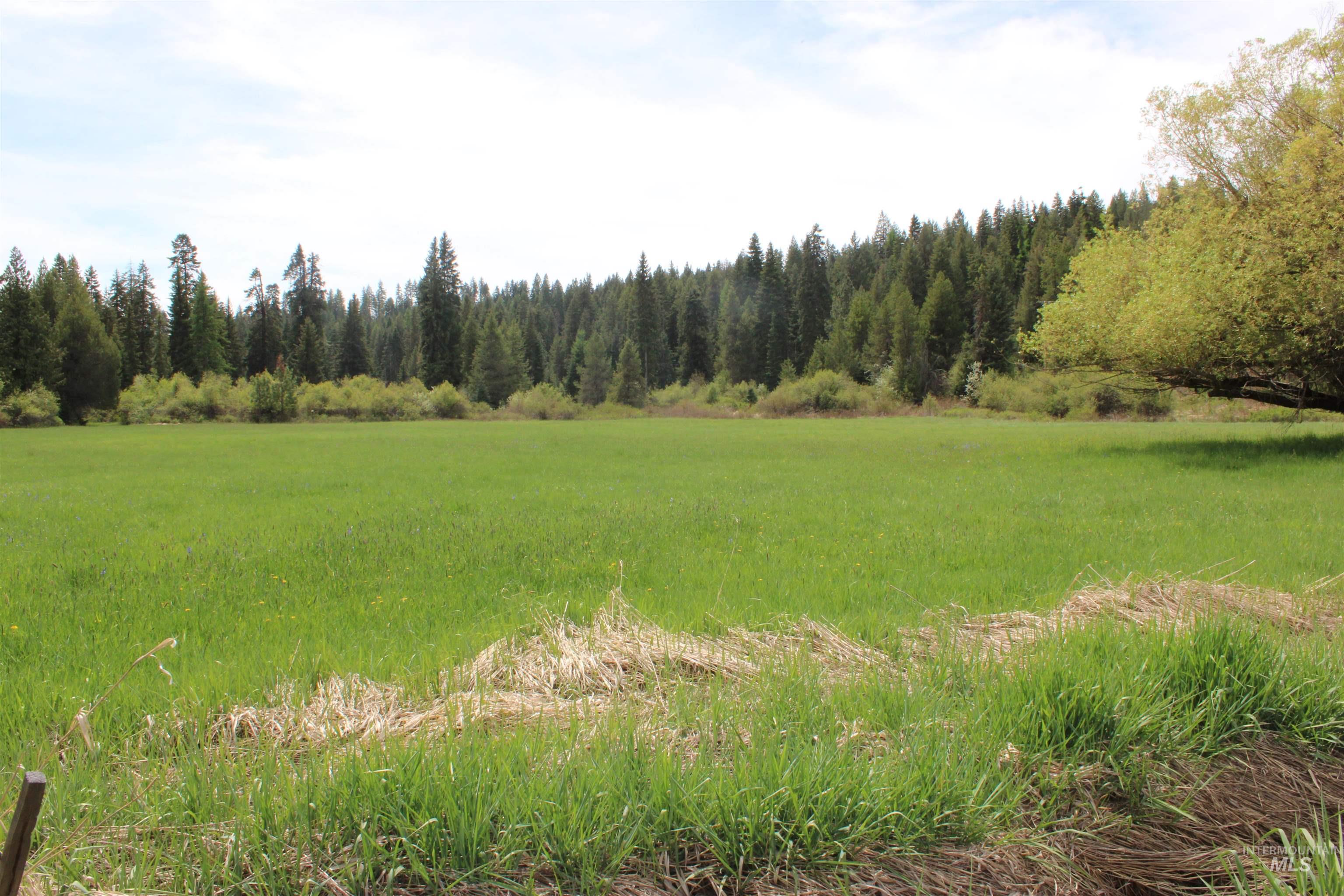 1021 Claypit Rd, Troy, Idaho 83871, 3 Bedrooms, 2 Bathrooms, Residential For Sale, Price $875,000,MLS 98978219