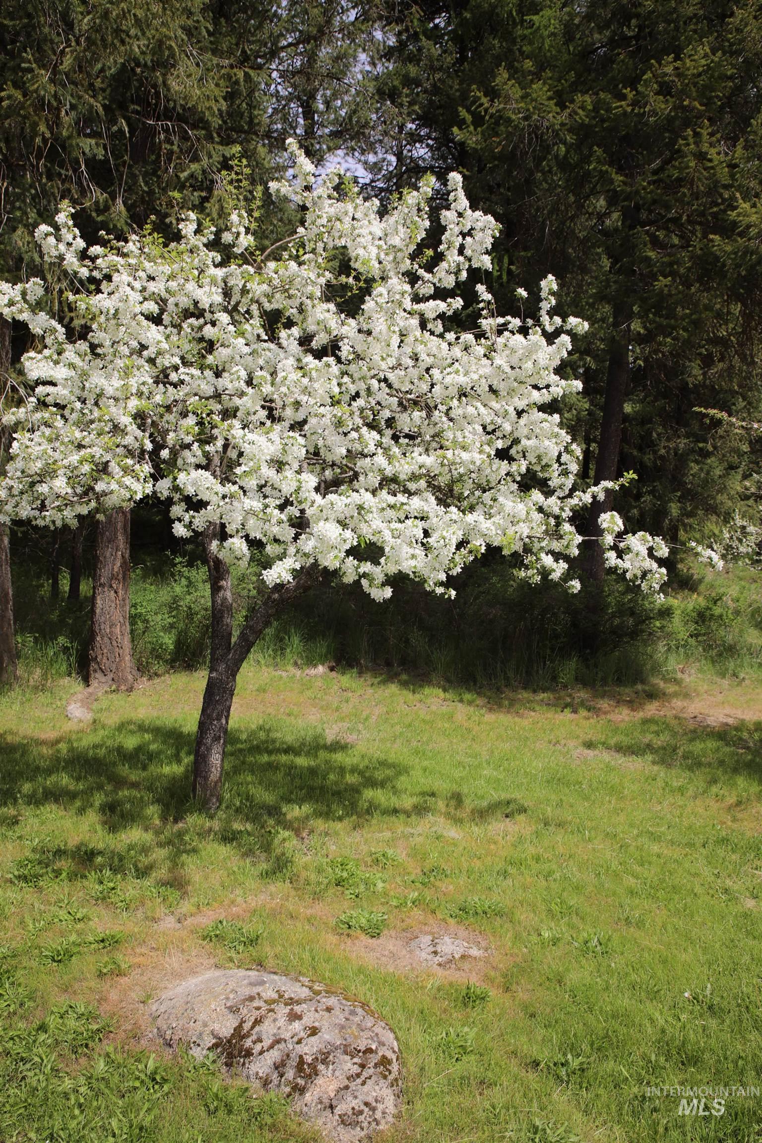 1021 Claypit Rd, Troy, Idaho 83871, 3 Bedrooms, 2 Bathrooms, Residential For Sale, Price $875,000,MLS 98978219