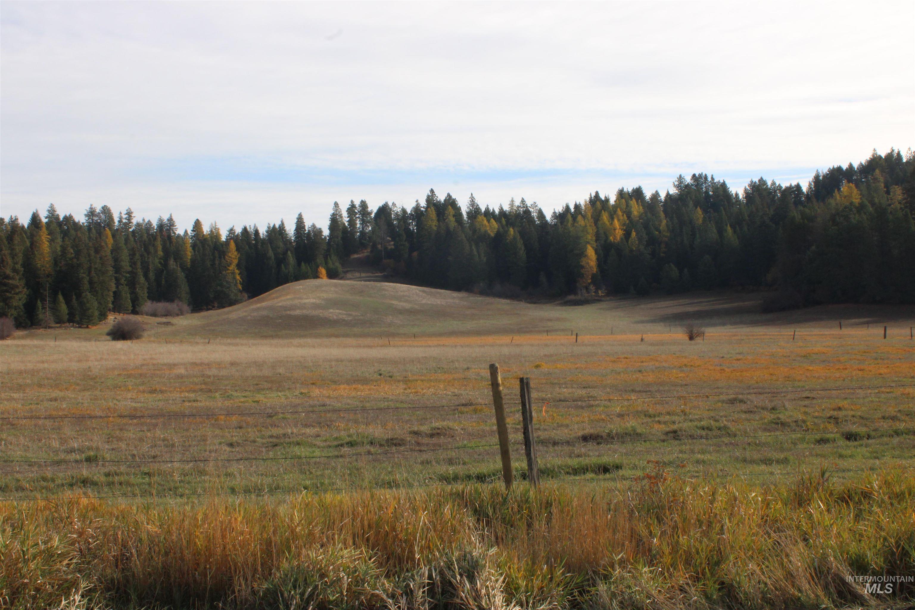 1021 Claypit Rd, Troy, Idaho 83871, 3 Bedrooms, 2 Bathrooms, Residential For Sale, Price $875,000,MLS 98978219