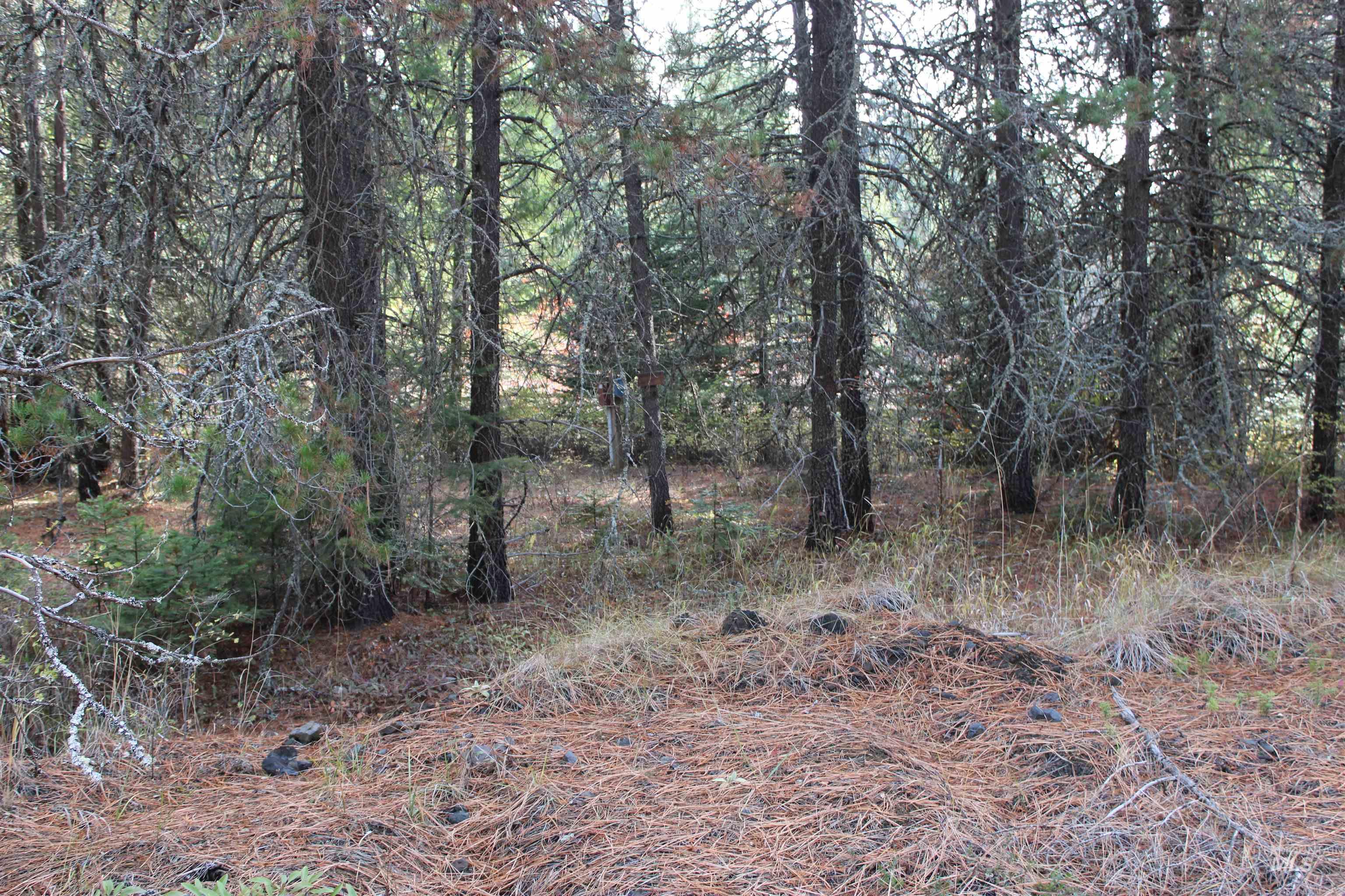 1021 Claypit Rd, Troy, Idaho 83871, 3 Bedrooms, 2 Bathrooms, Residential For Sale, Price $875,000,MLS 98978219