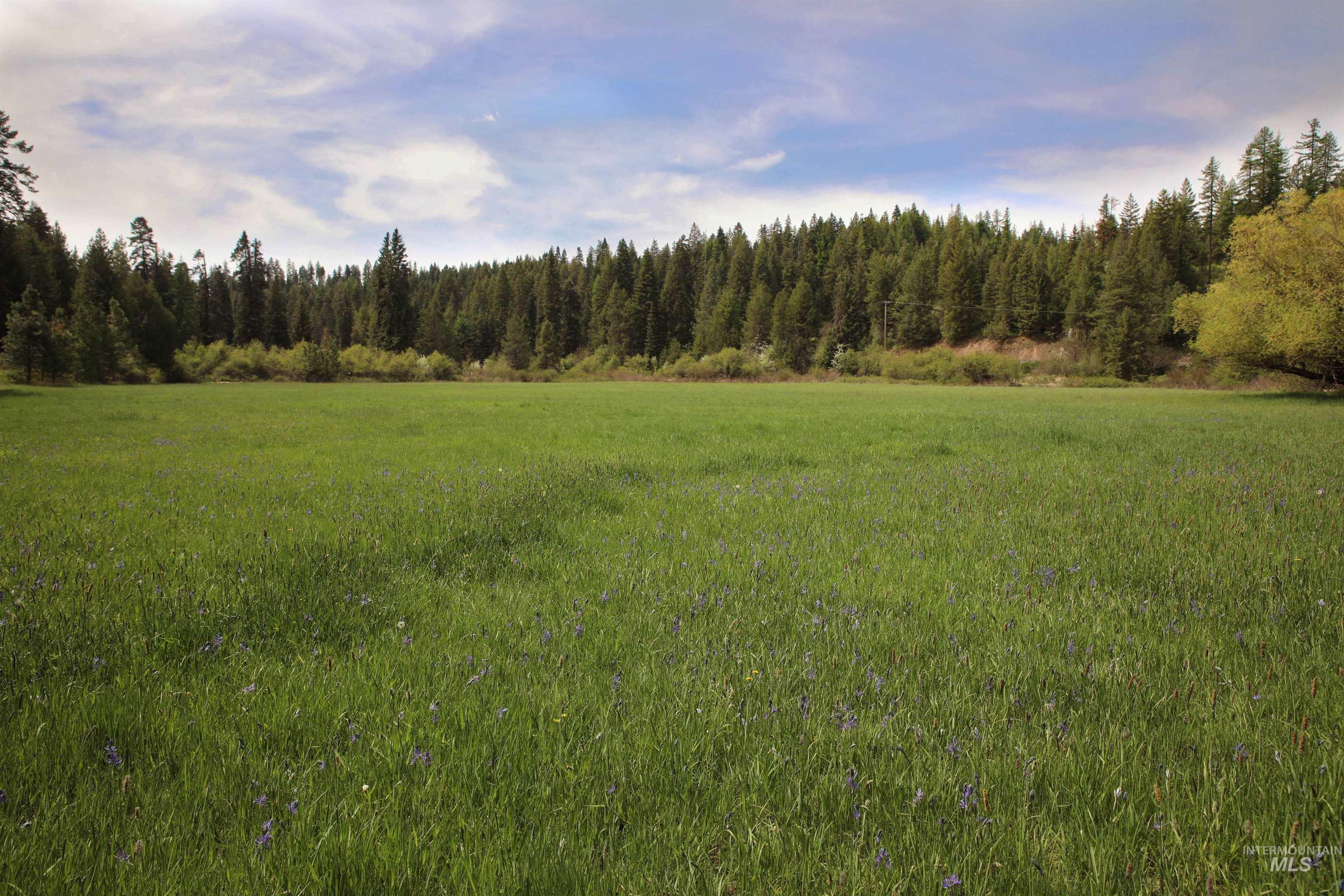 1021 Claypit Rd, Troy, Idaho 83871, 3 Bedrooms, 2 Bathrooms, Residential For Sale, Price $875,000,MLS 98978219