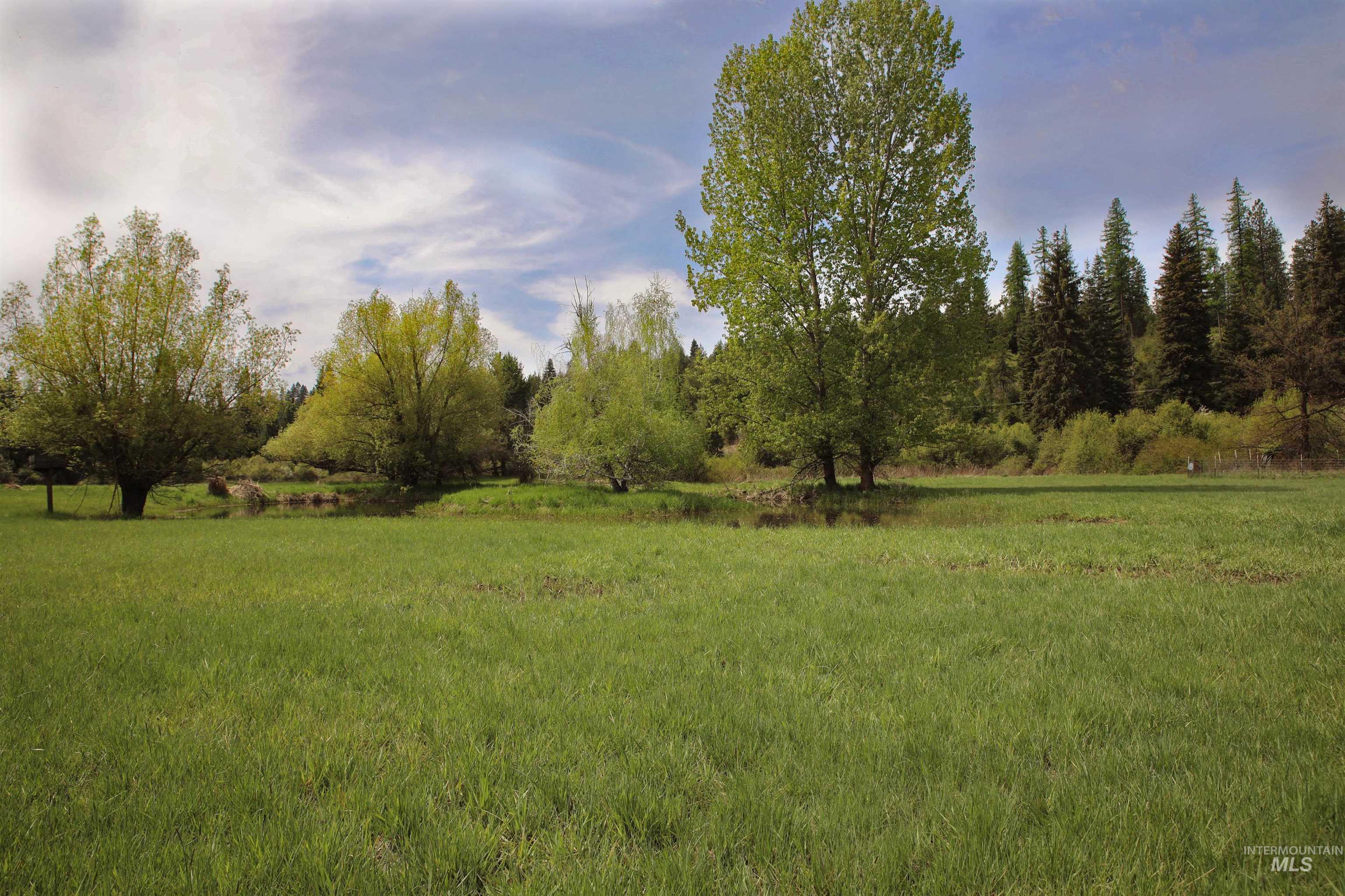 1021 Claypit Rd, Troy, Idaho 83871, 3 Bedrooms, 2 Bathrooms, Residential For Sale, Price $875,000,MLS 98978219