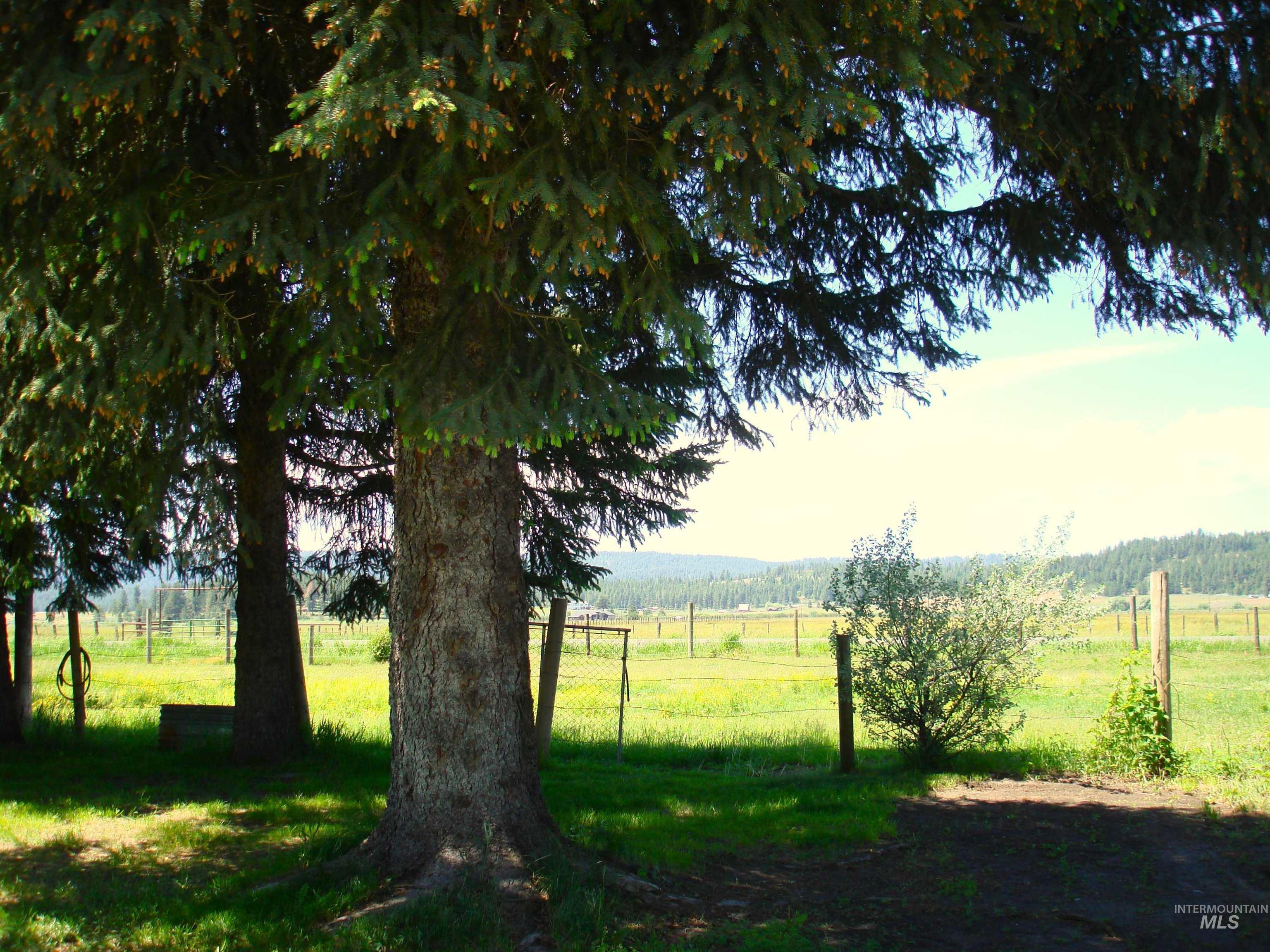 3756 Farrell Road, New Meadows, Idaho 83654, 3 Bedrooms, 2 Bathrooms, Residential For Sale, Price $665,000,MLS 98978266