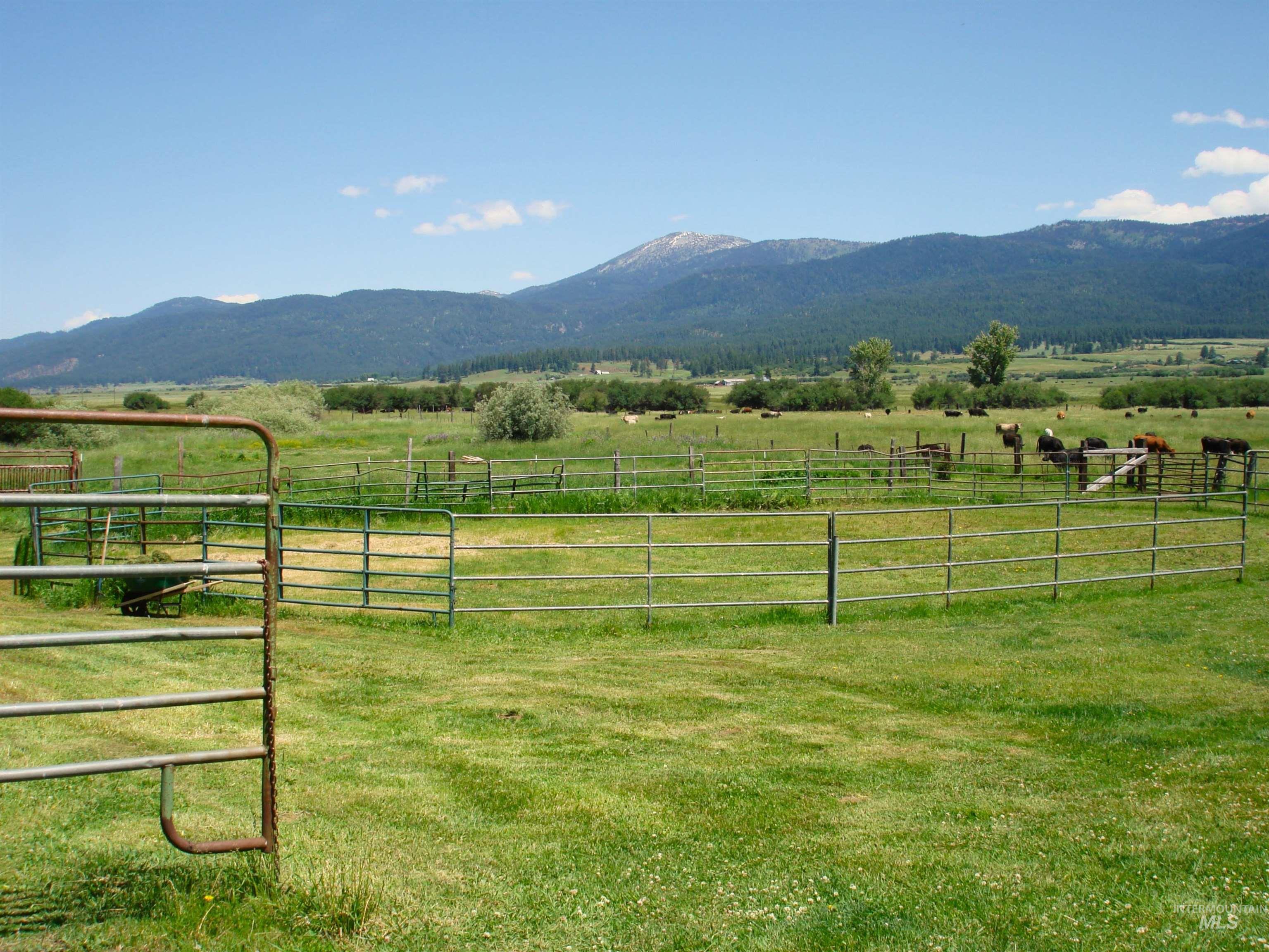 3756 Farrell Road, New Meadows, Idaho 83654, 3 Bedrooms, 2 Bathrooms, Residential For Sale, Price $665,000,MLS 98978266