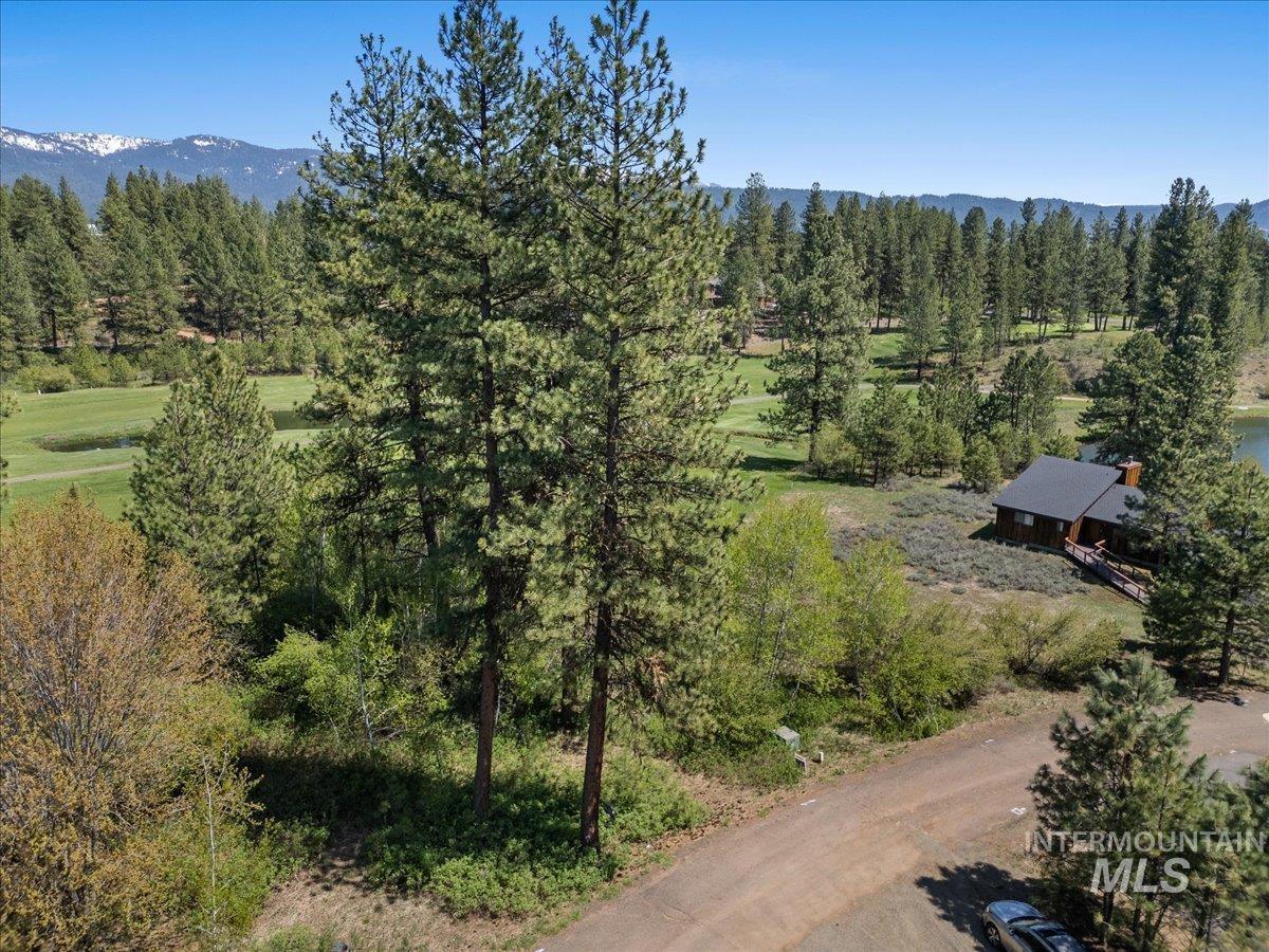 L5 Ponderosa Court, New Meadows, Idaho 83654, Land For Sale, Price $115,000,MLS 98978272