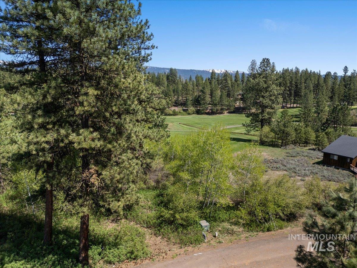 L5 Ponderosa Court, New Meadows, Idaho 83654, Land For Sale, Price $115,000,MLS 98978272