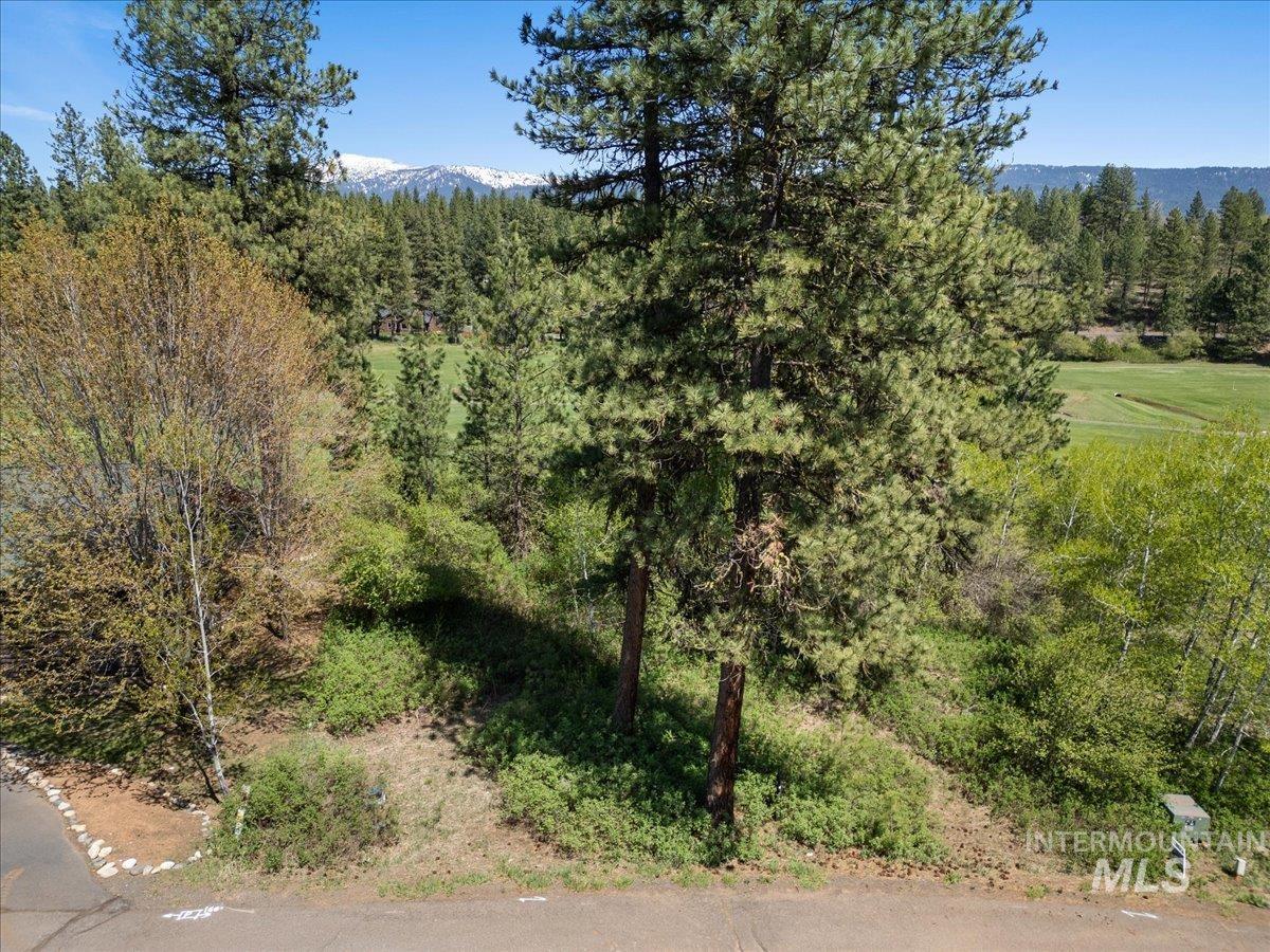 L5 Ponderosa Court, New Meadows, Idaho 83654, Land For Sale, Price $115,000,MLS 98978272