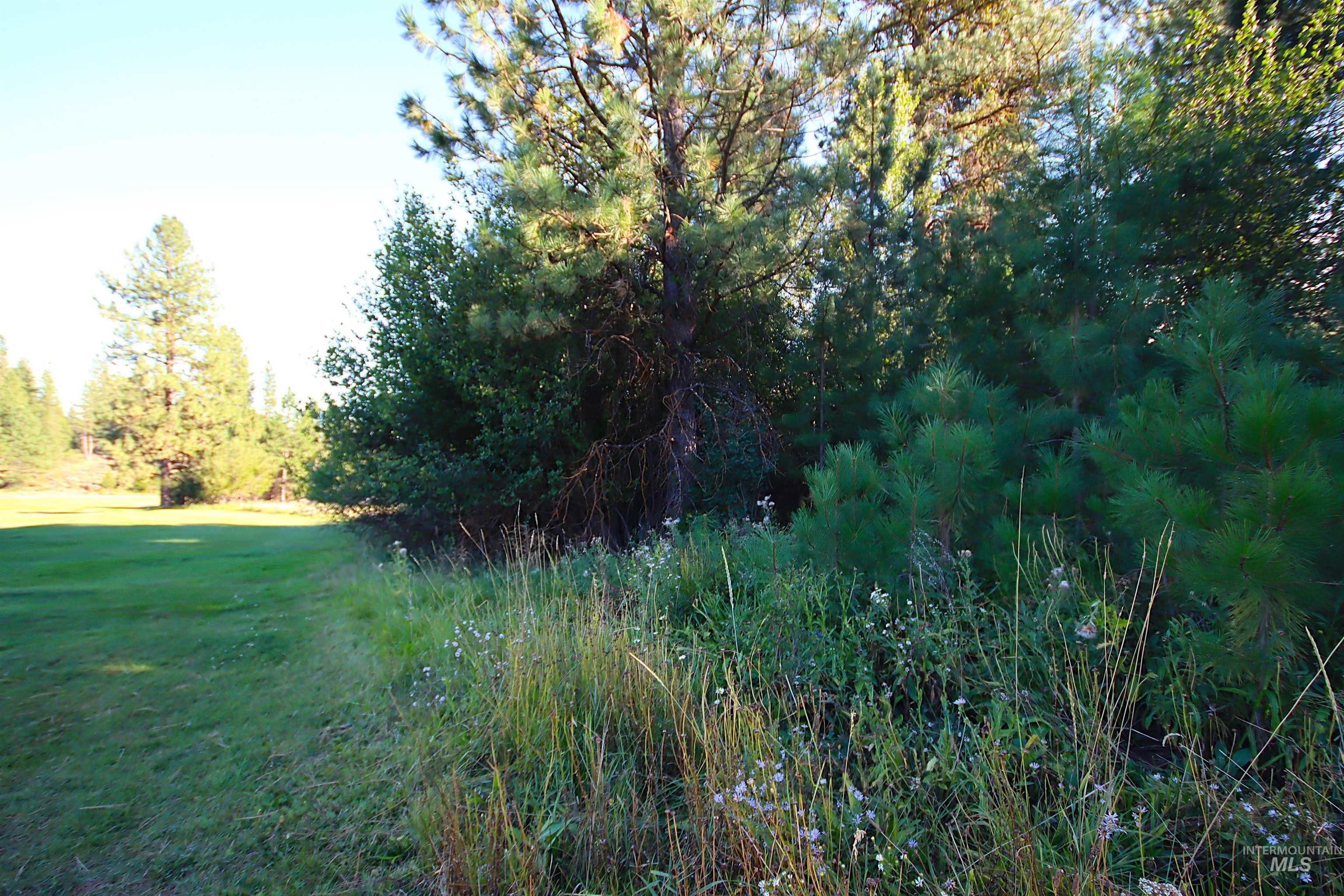L5 Ponderosa Court, New Meadows, Idaho 83654, Land For Sale, Price $115,000,MLS 98978272