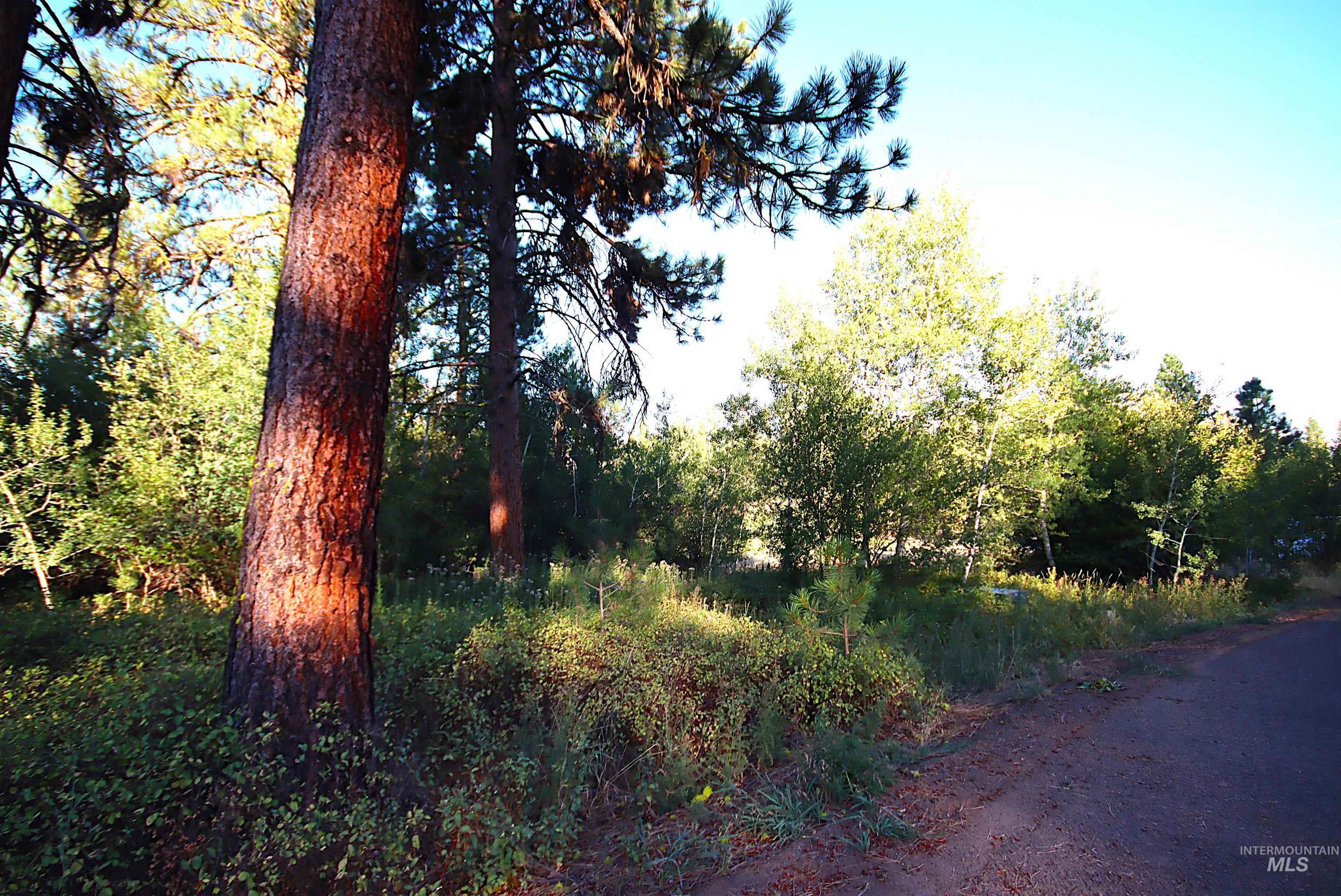 L5 Ponderosa Court, New Meadows, Idaho 83654, Land For Sale, Price $115,000,MLS 98978272