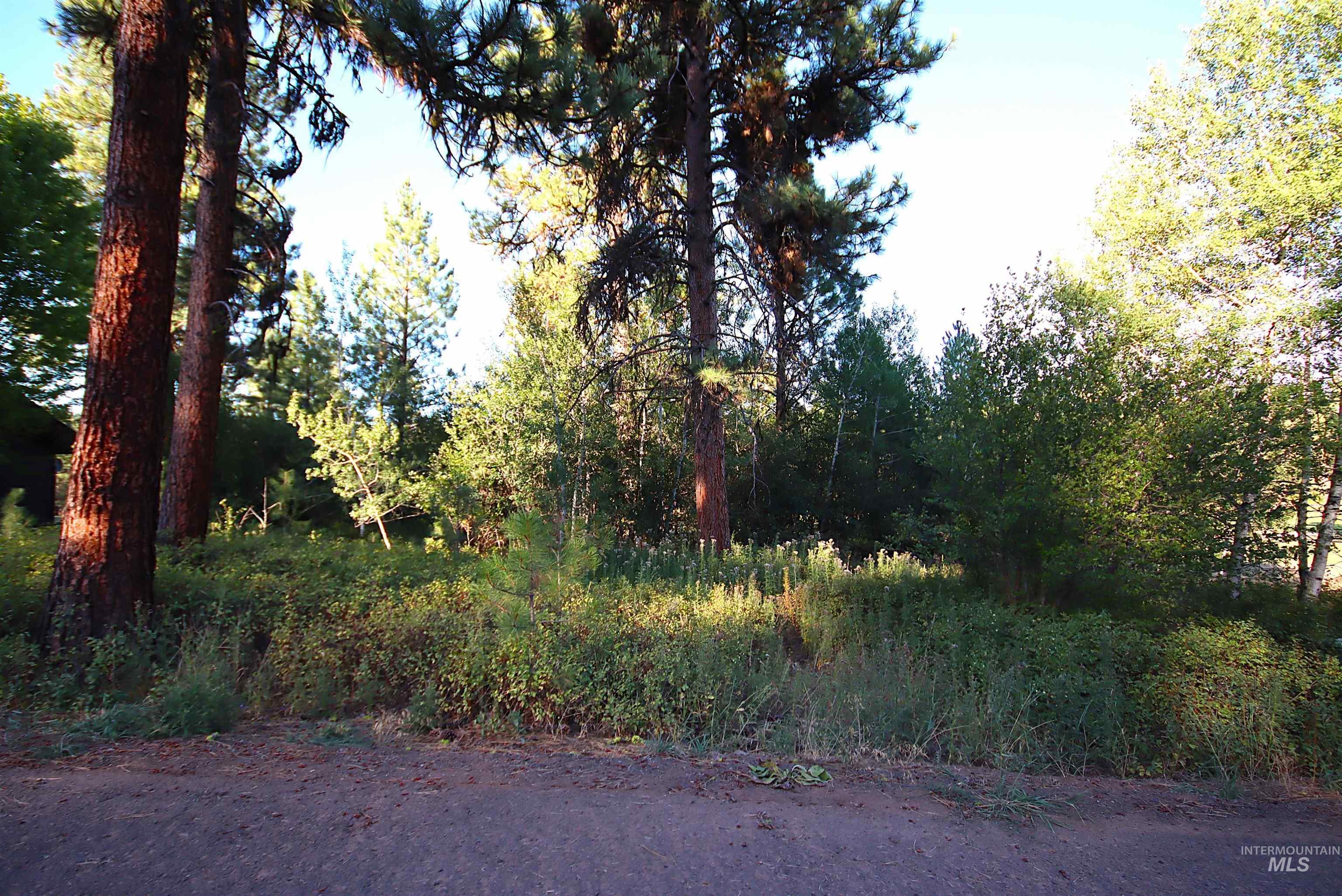 L5 Ponderosa Court, New Meadows, Idaho 83654, Land For Sale, Price $115,000,MLS 98978272