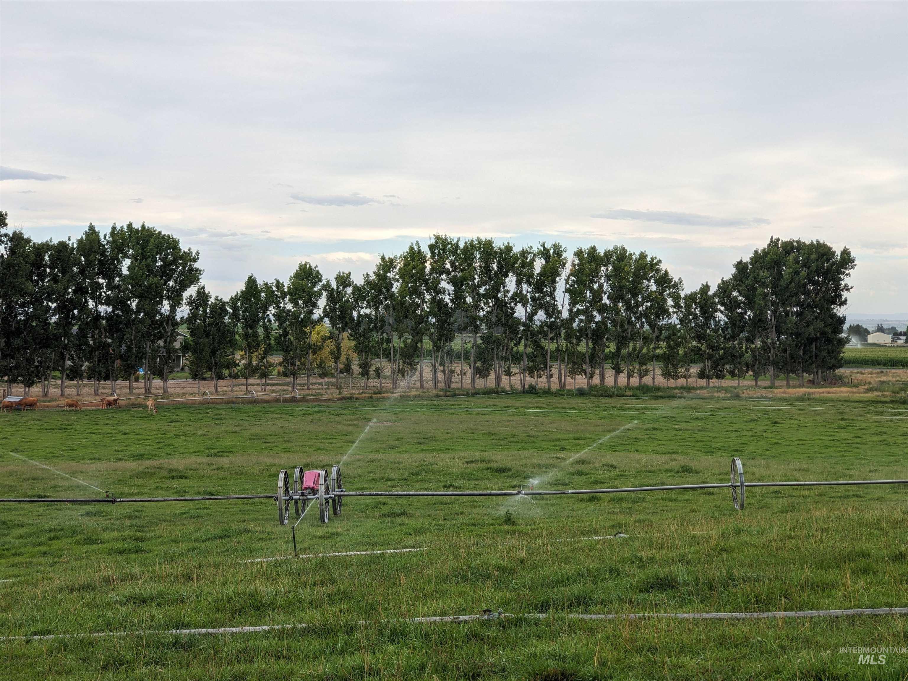 2047 E 2975 S, Wendell, Idaho 83355, 3 Bedrooms, 2 Bathrooms, Residential For Sale, Price $715,000,MLS 98978278