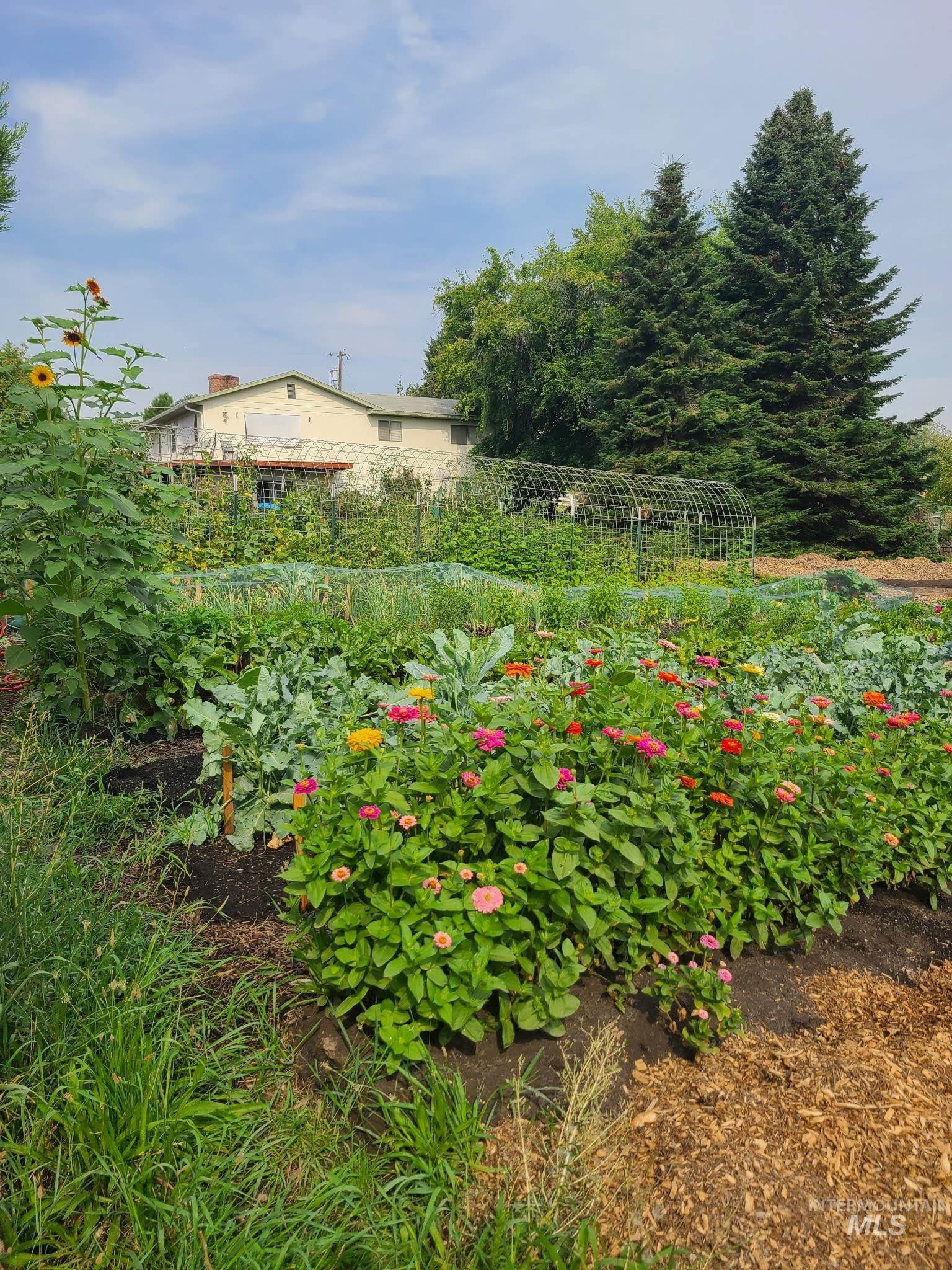 0000 Barr Street, Lewiston, Idaho 83501, Land For Sale, Price $250,000,MLS 98978279