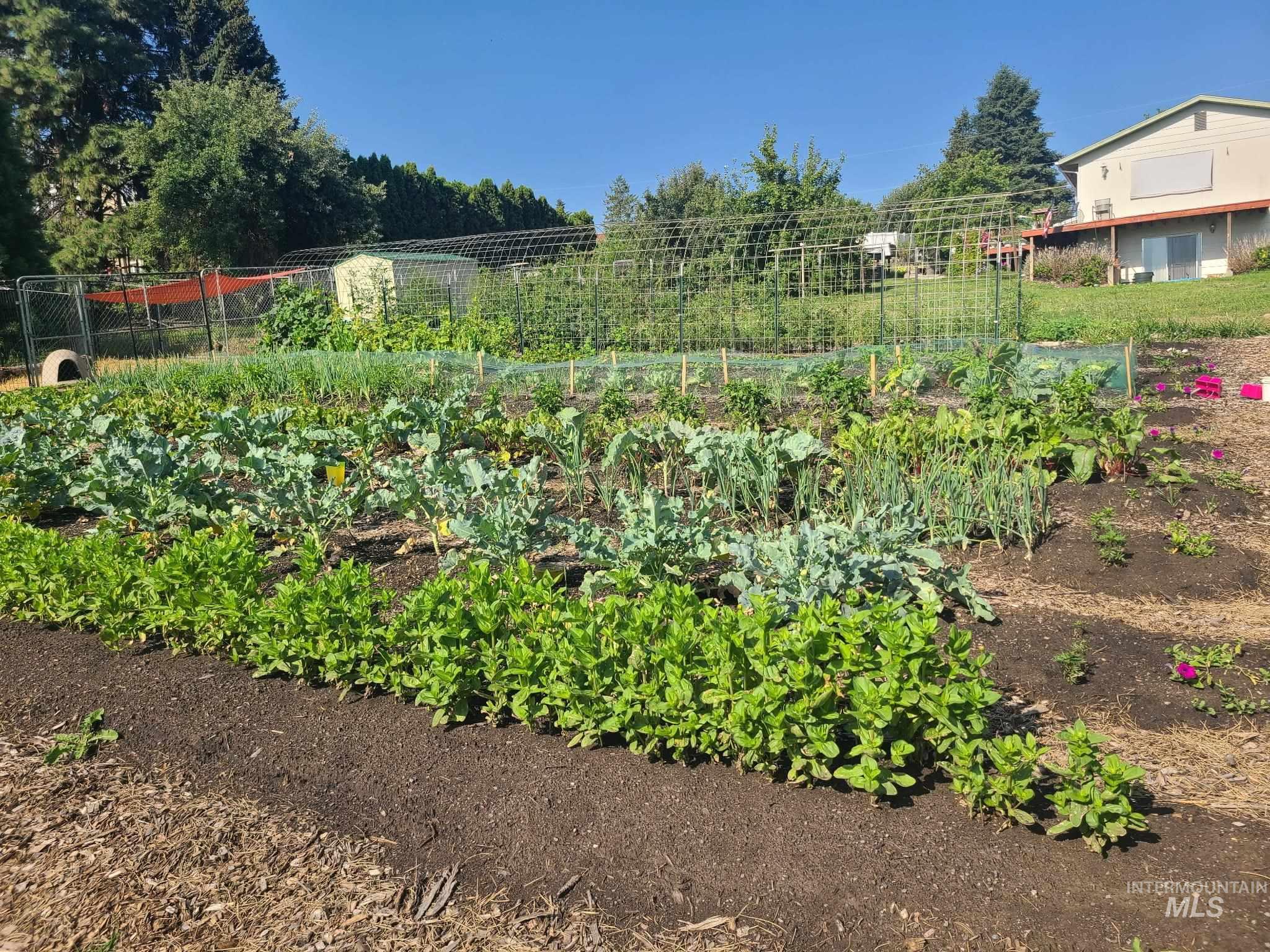 0000 Barr Street, Lewiston, Idaho 83501, Land For Sale, Price $250,000,MLS 98978279