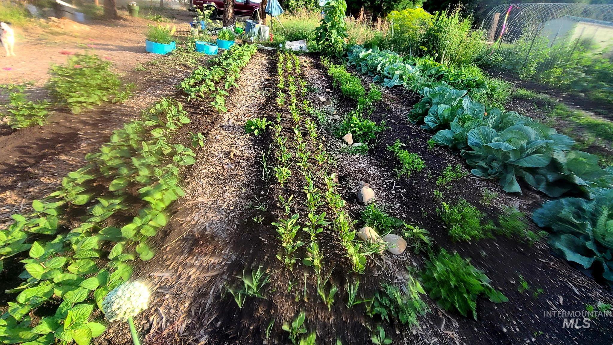 0000 Barr Street, Lewiston, Idaho 83501, Land For Sale, Price $250,000,MLS 98978279