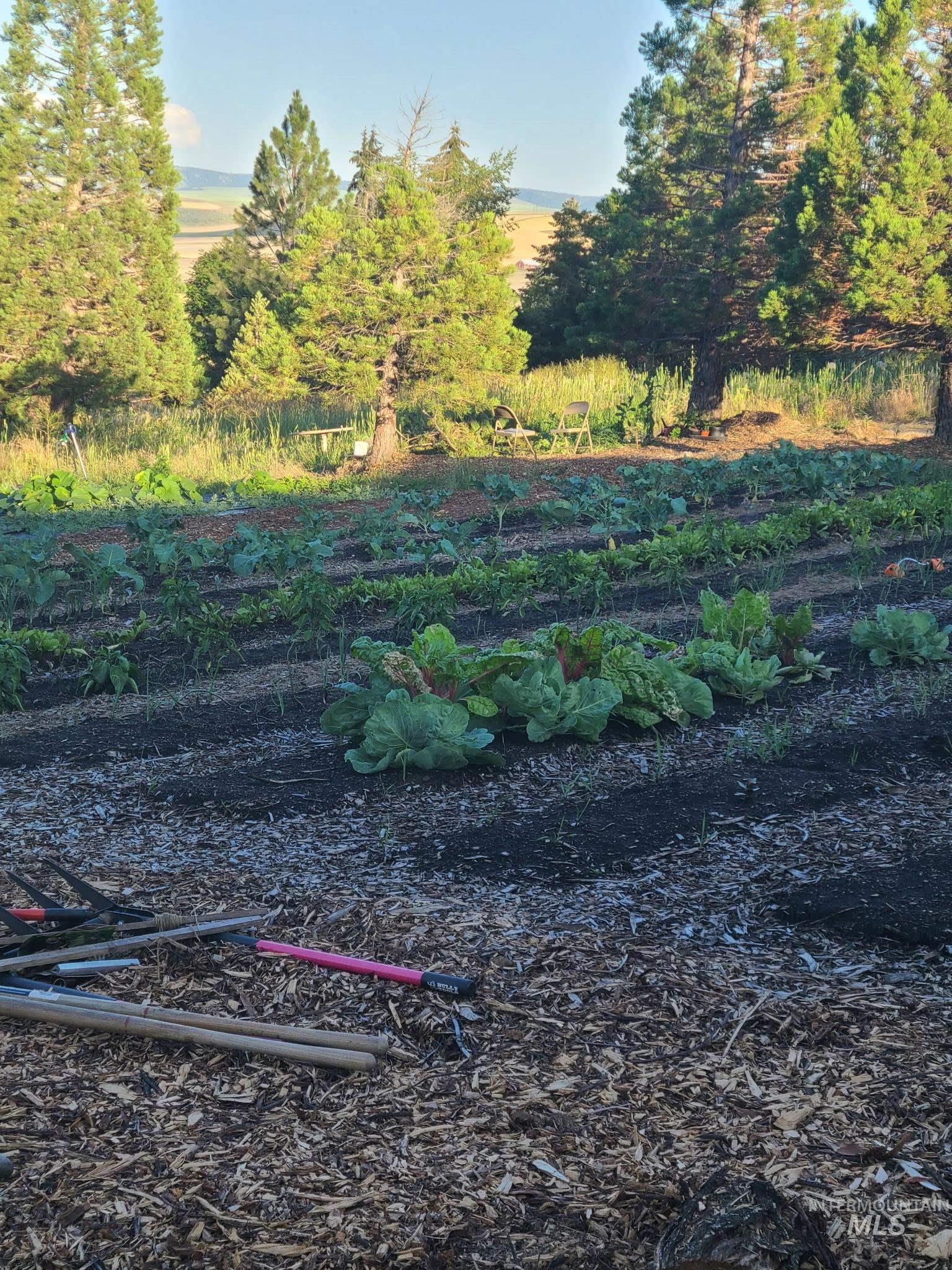 0000 Barr Street, Lewiston, Idaho 83501, Land For Sale, Price $250,000,MLS 98978279