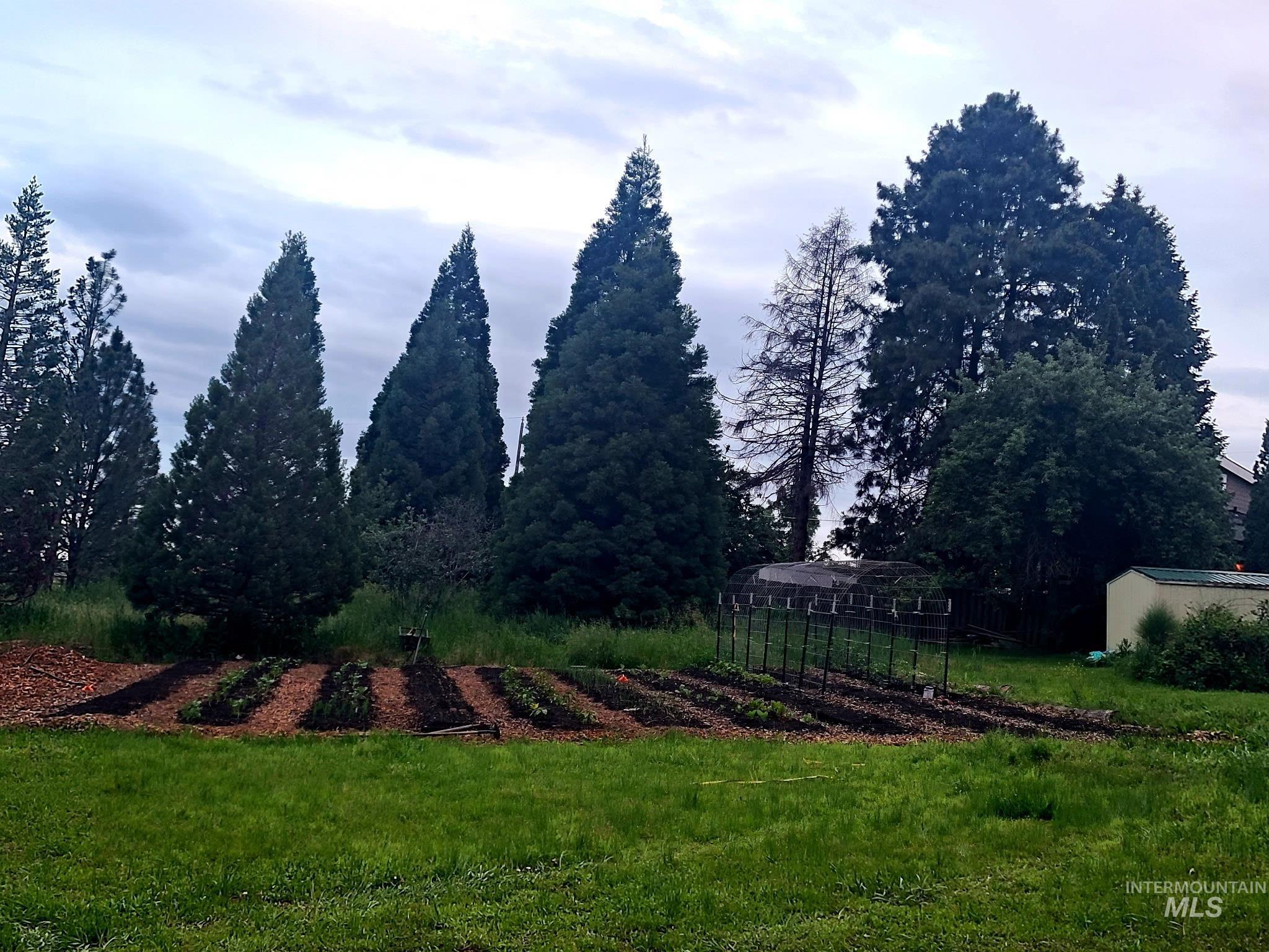 0000 Barr Street, Lewiston, Idaho 83501, Land For Sale, Price $250,000,MLS 98978279