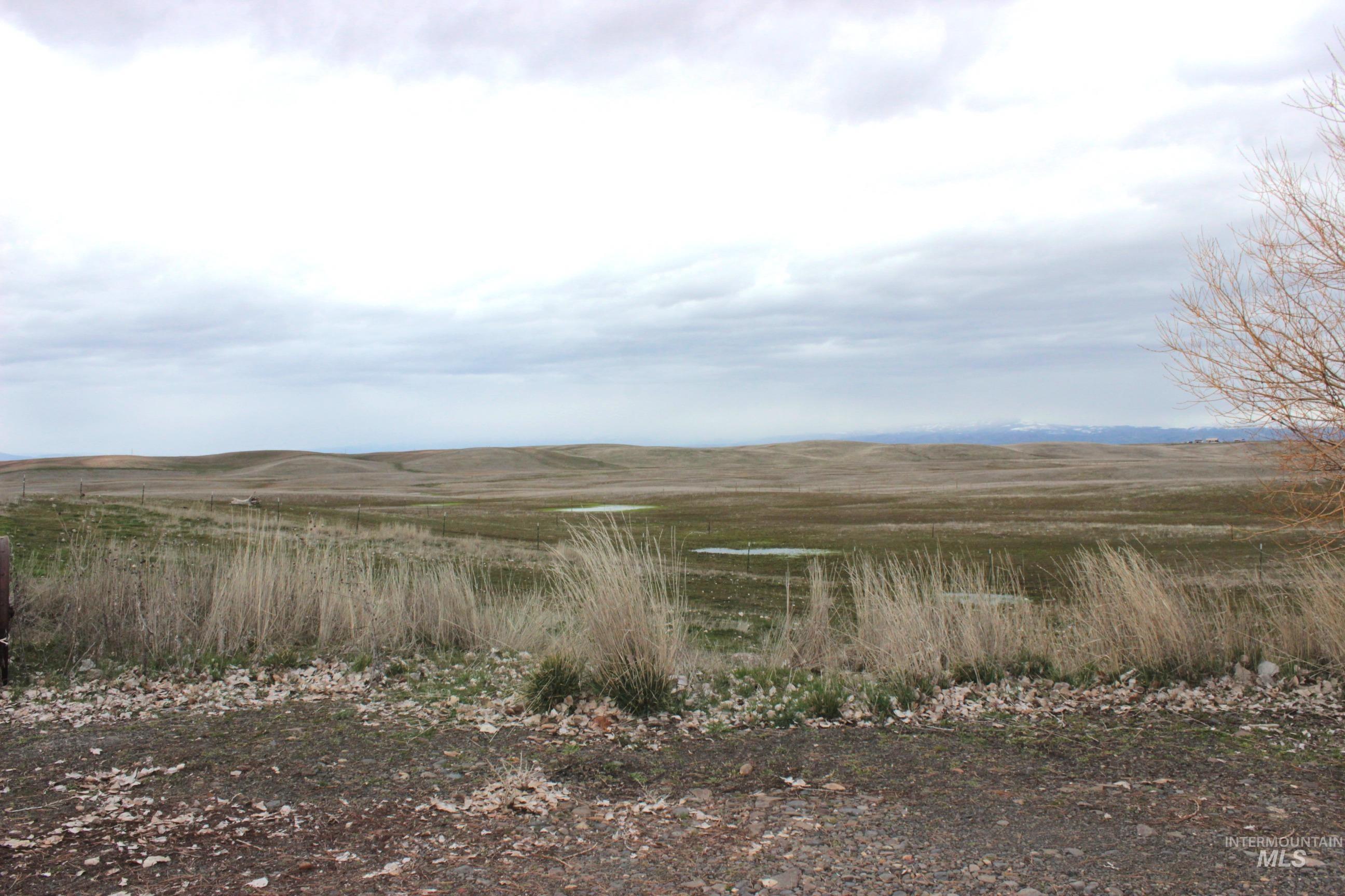 1824 Dutch Flat, Midvale, Idaho 83645, 3 Bedrooms, 2 Bathrooms, Farm & Ranch For Sale, Price $850,000,MLS 98978289