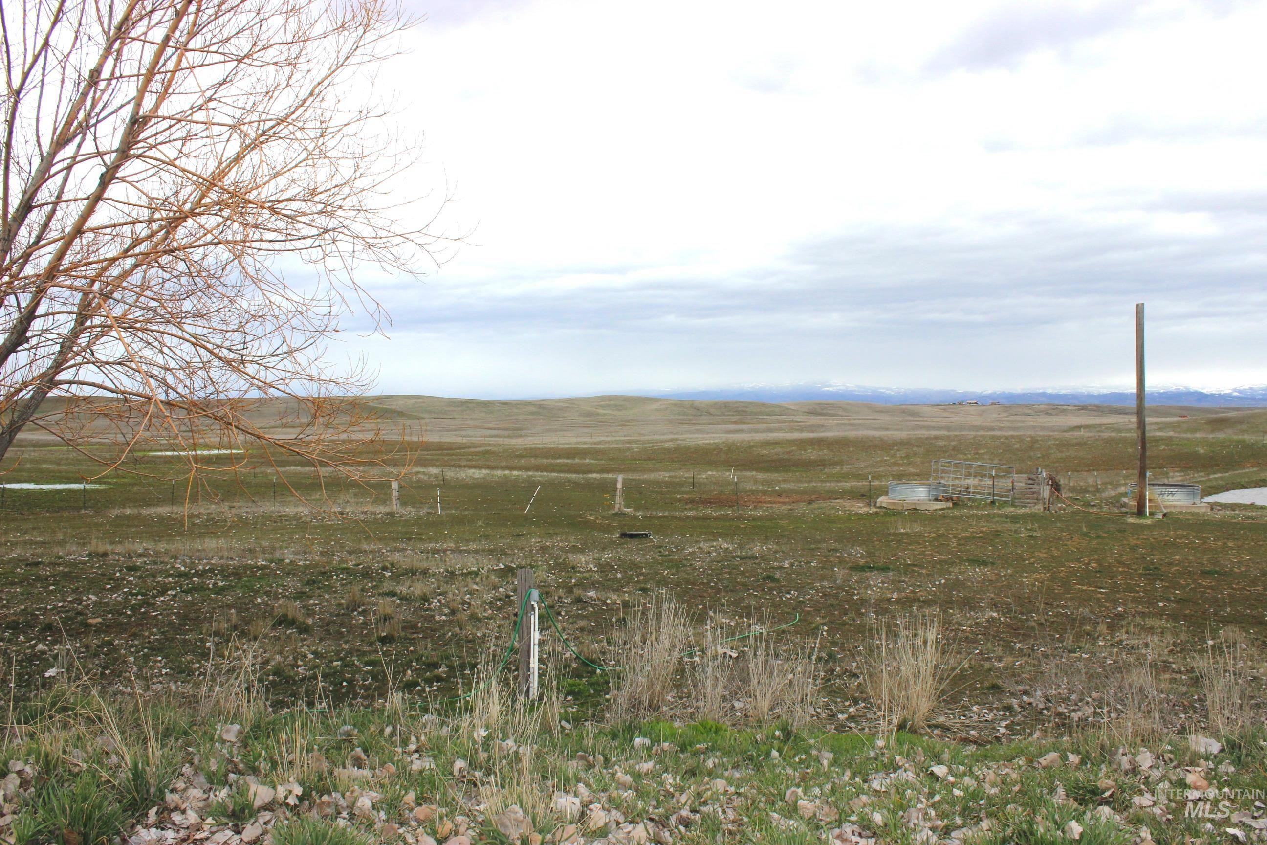 1824 Dutch Flat, Midvale, Idaho 83645, 3 Bedrooms, 2 Bathrooms, Farm & Ranch For Sale, Price $850,000,MLS 98978289