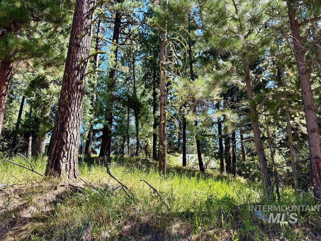 699 N Samson Trail, McCall, Idaho 83638, Land For Sale, Price $207,000, 98978290
