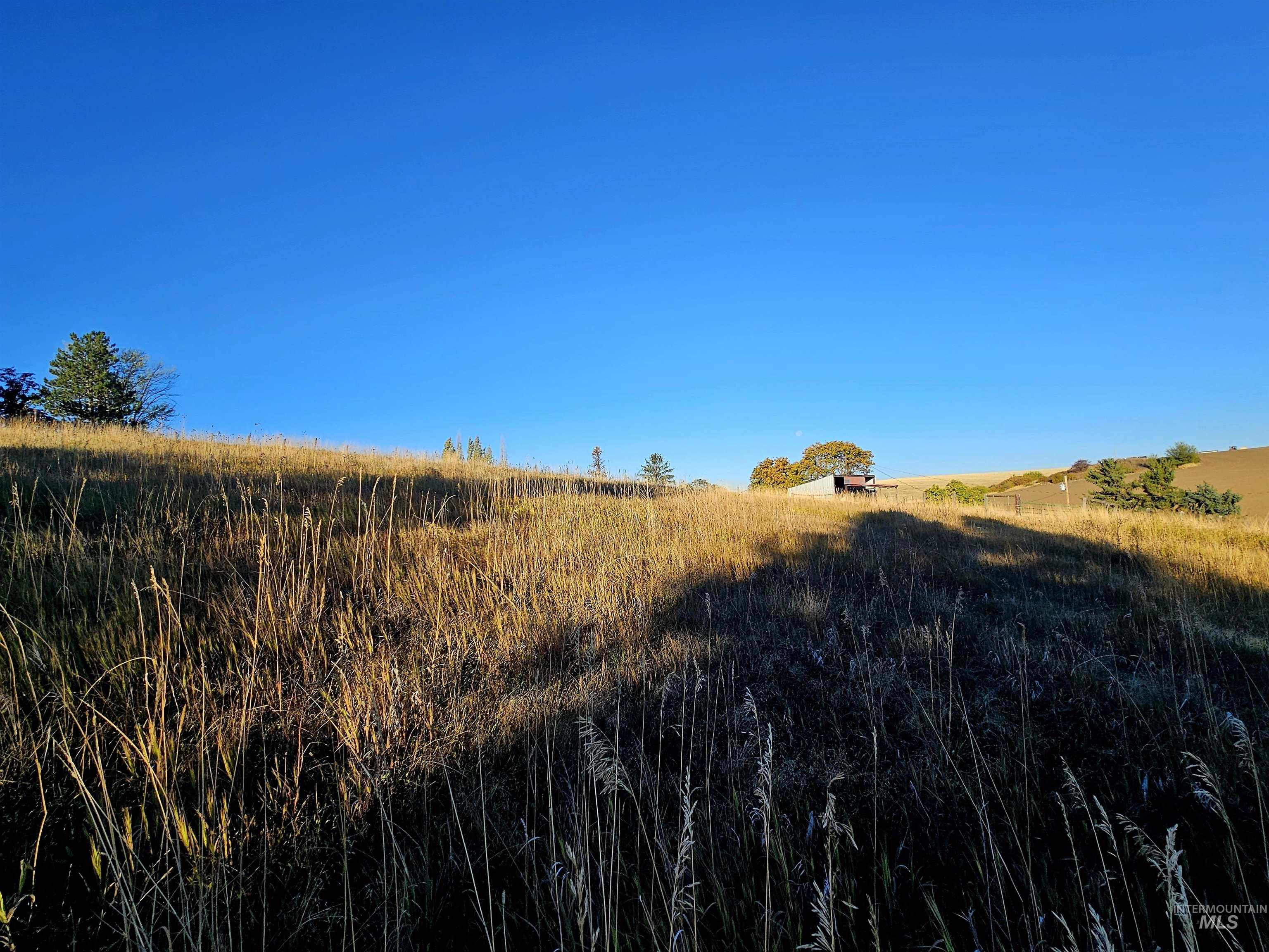 33818 North Rd, Kendrick, Idaho 83537, 5 Bedrooms, 2 Bathrooms, Residential For Sale, Price $419,000,MLS 98978295