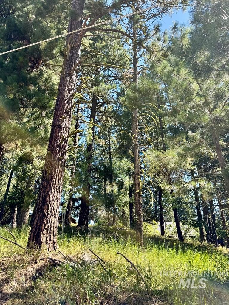 697 N Samson Trail, McCall, Idaho 83638, Land For Sale, Price $207,000, 98978296